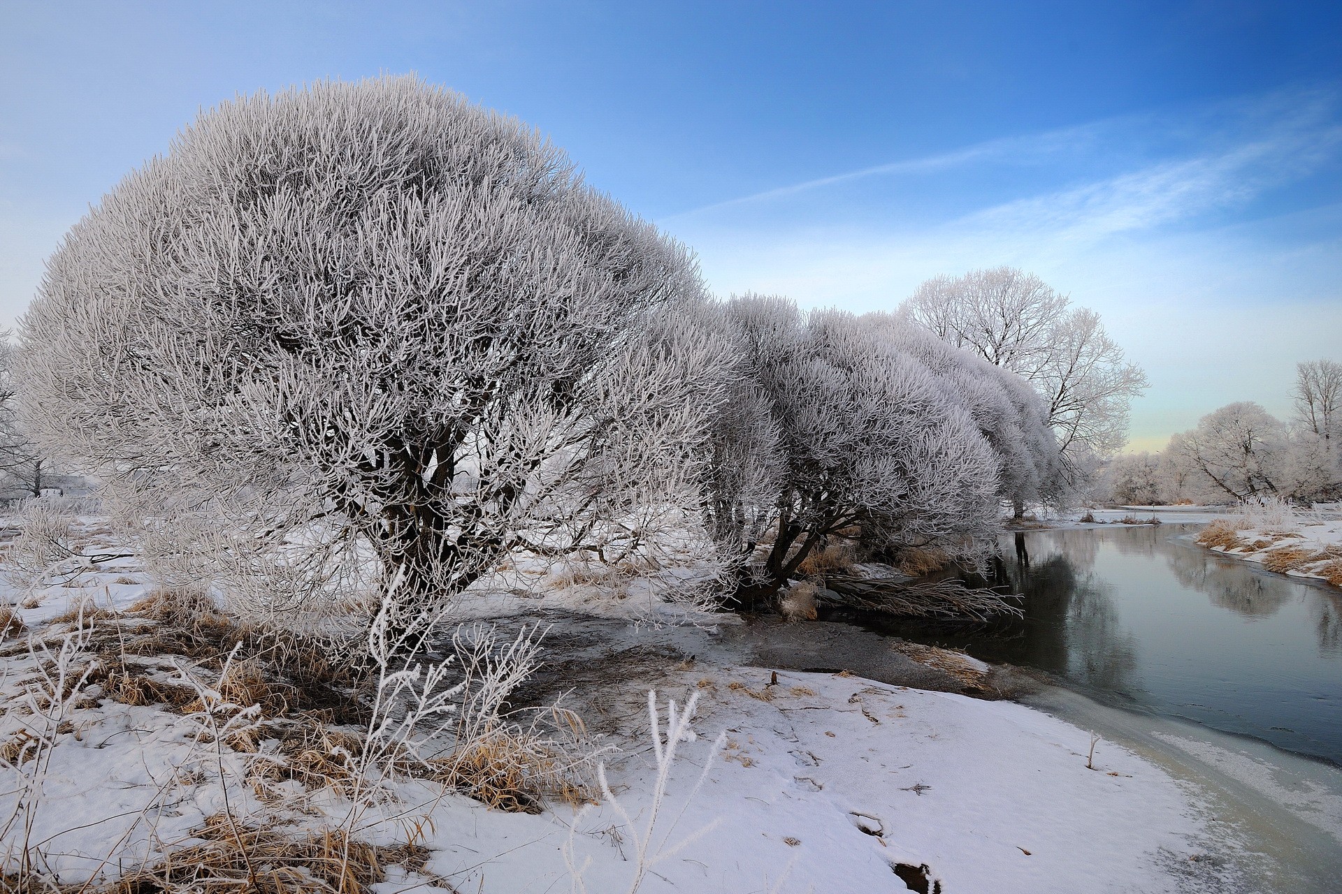 Baixar papel de parede para celular de Inverno, Terra/natureza gratuito.