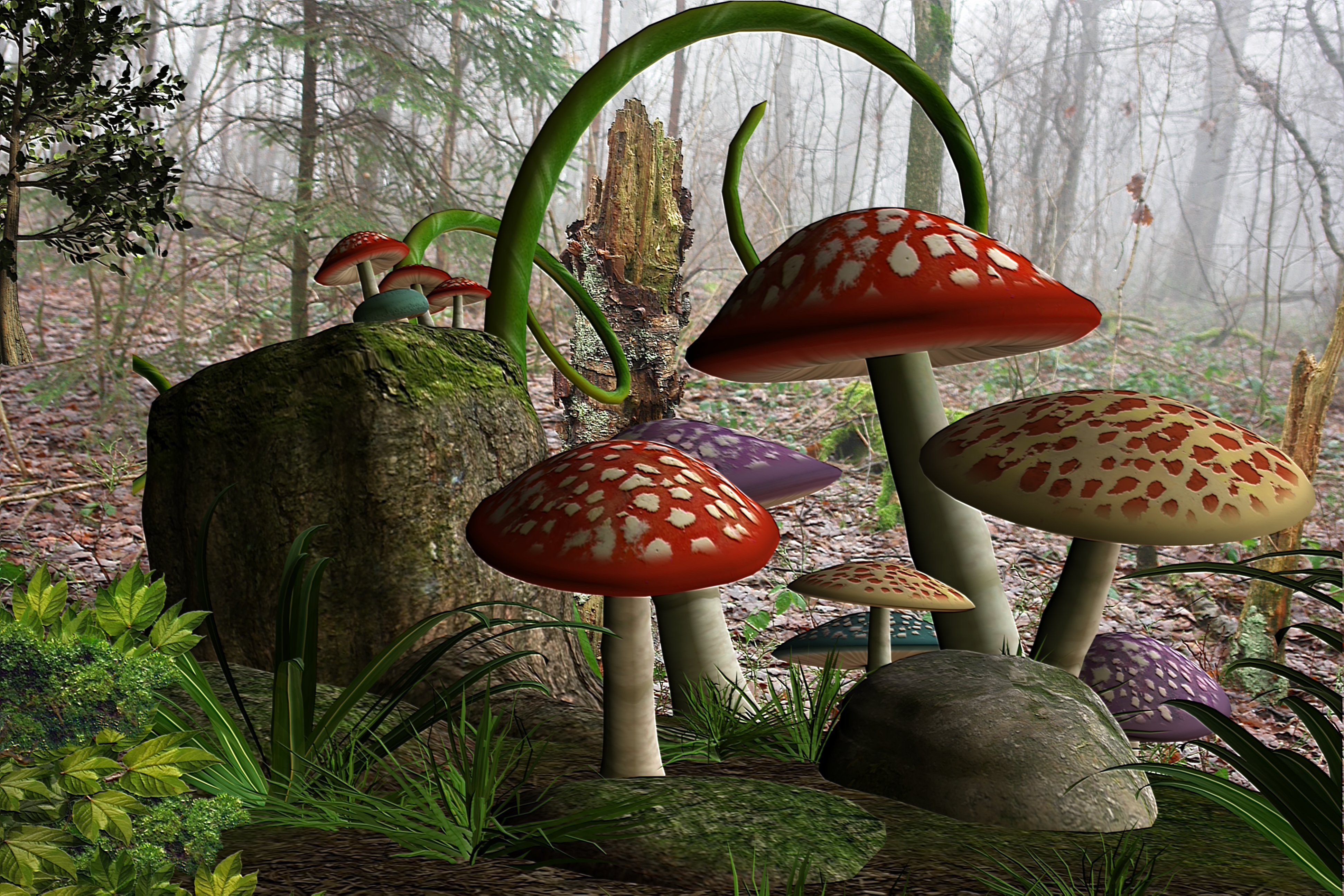 Download mobile wallpaper Forest, Mushroom, Artistic for free.