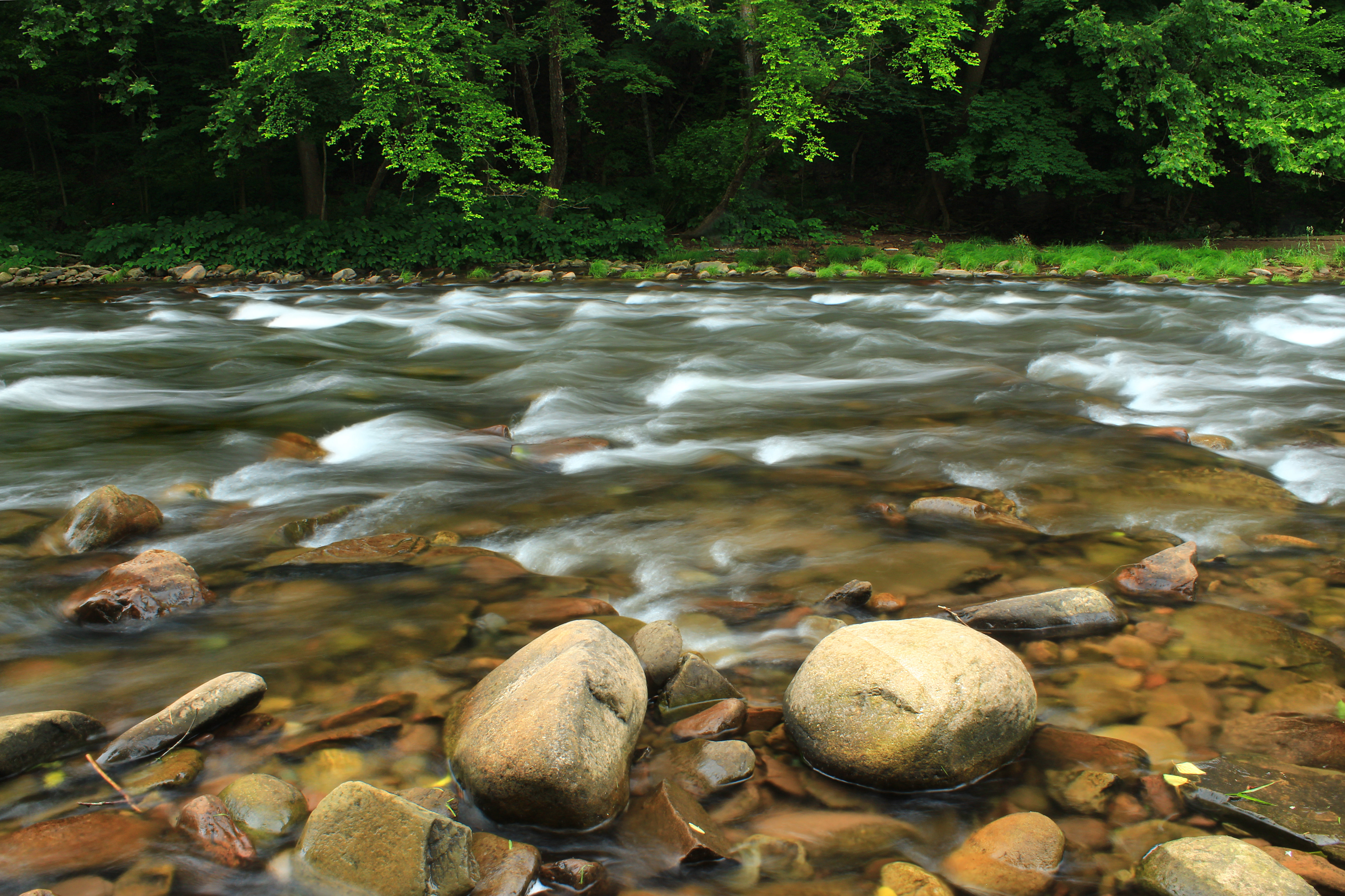 Download mobile wallpaper Stream, Trees, Rivers, Stones, Flow, Nature for free.