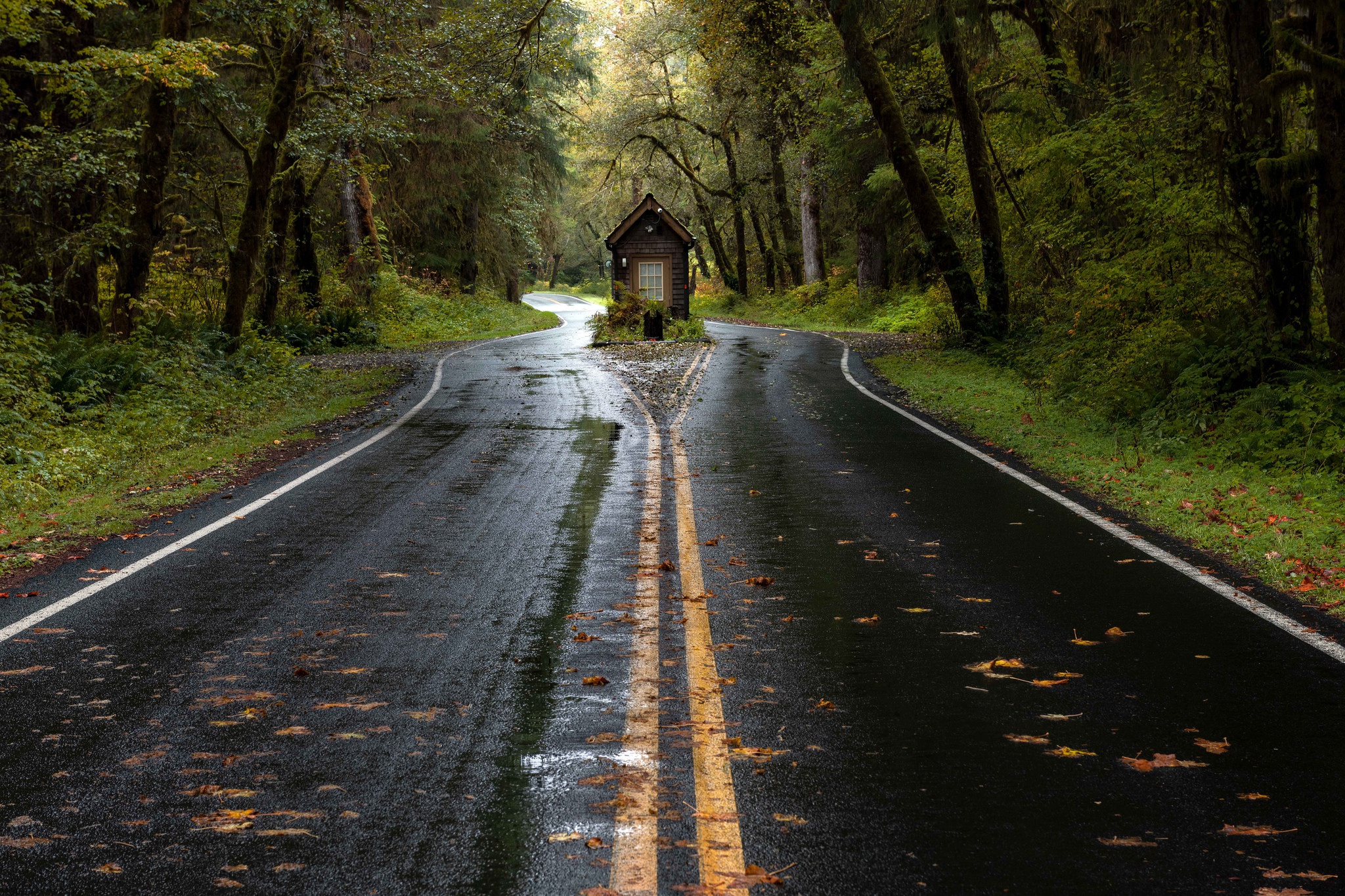 Free download wallpaper Nature, Road, Man Made on your PC desktop