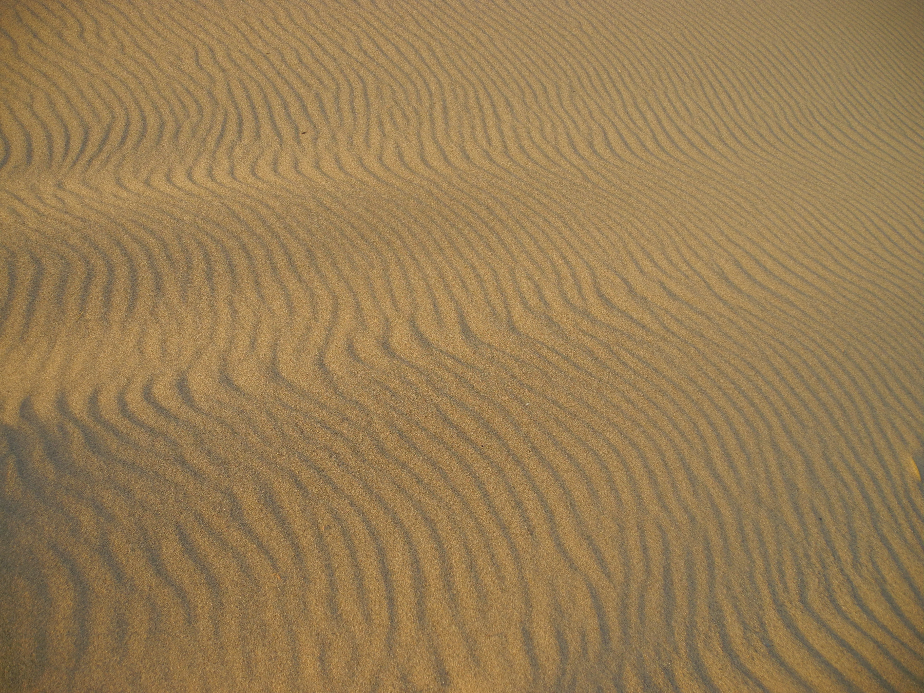 Handy-Wallpaper Natur, Sand, Waves, Wüste, Oberfläche kostenlos herunterladen.