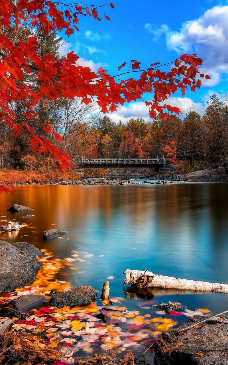 Download mobile wallpaper Nature, Water, Lake, Fall, Earth for free.