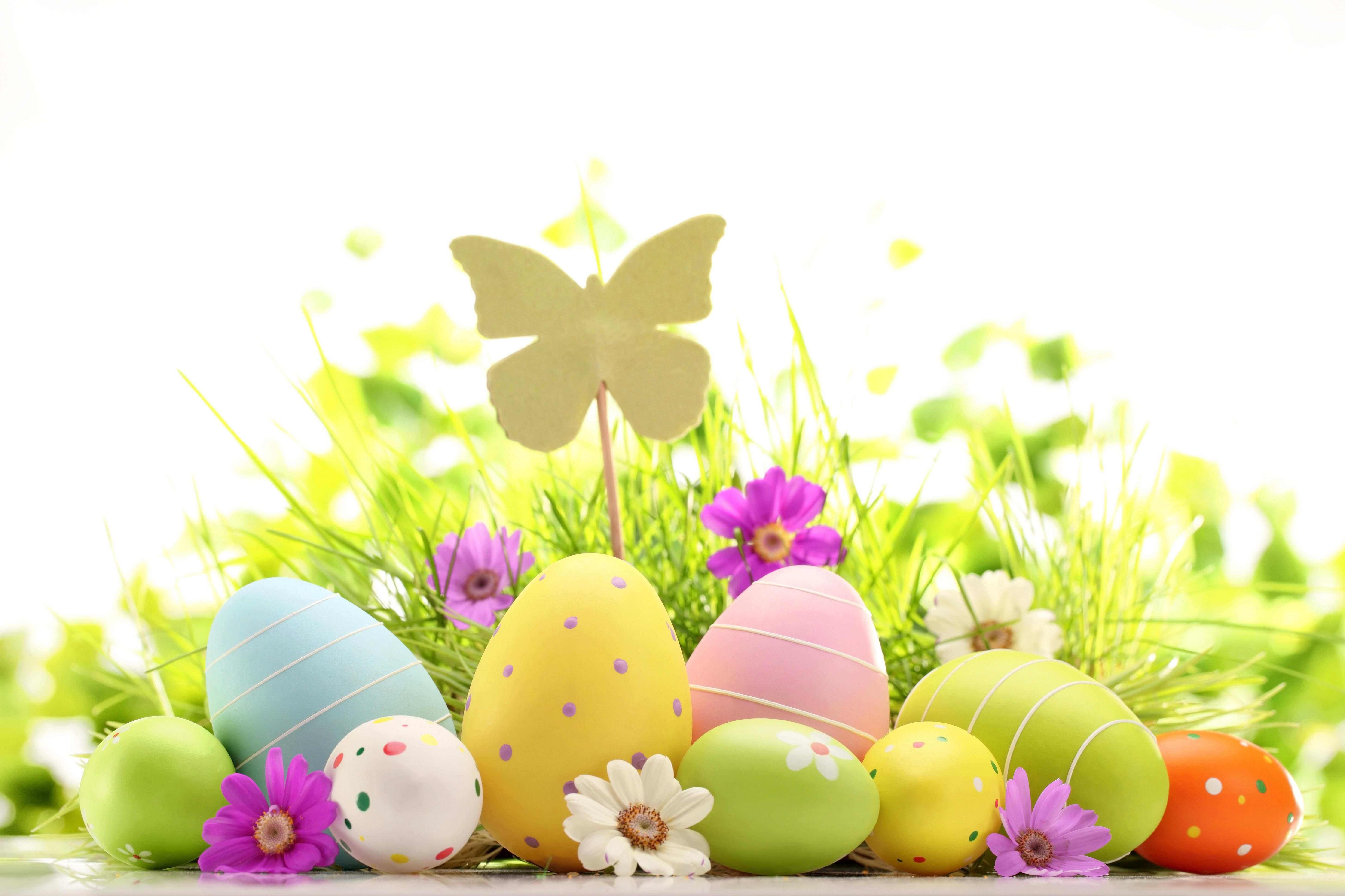 Завантажити шпалери безкоштовно Великдень, Квітка, Свято, Пасхальне Яйце картинка на робочий стіл ПК
