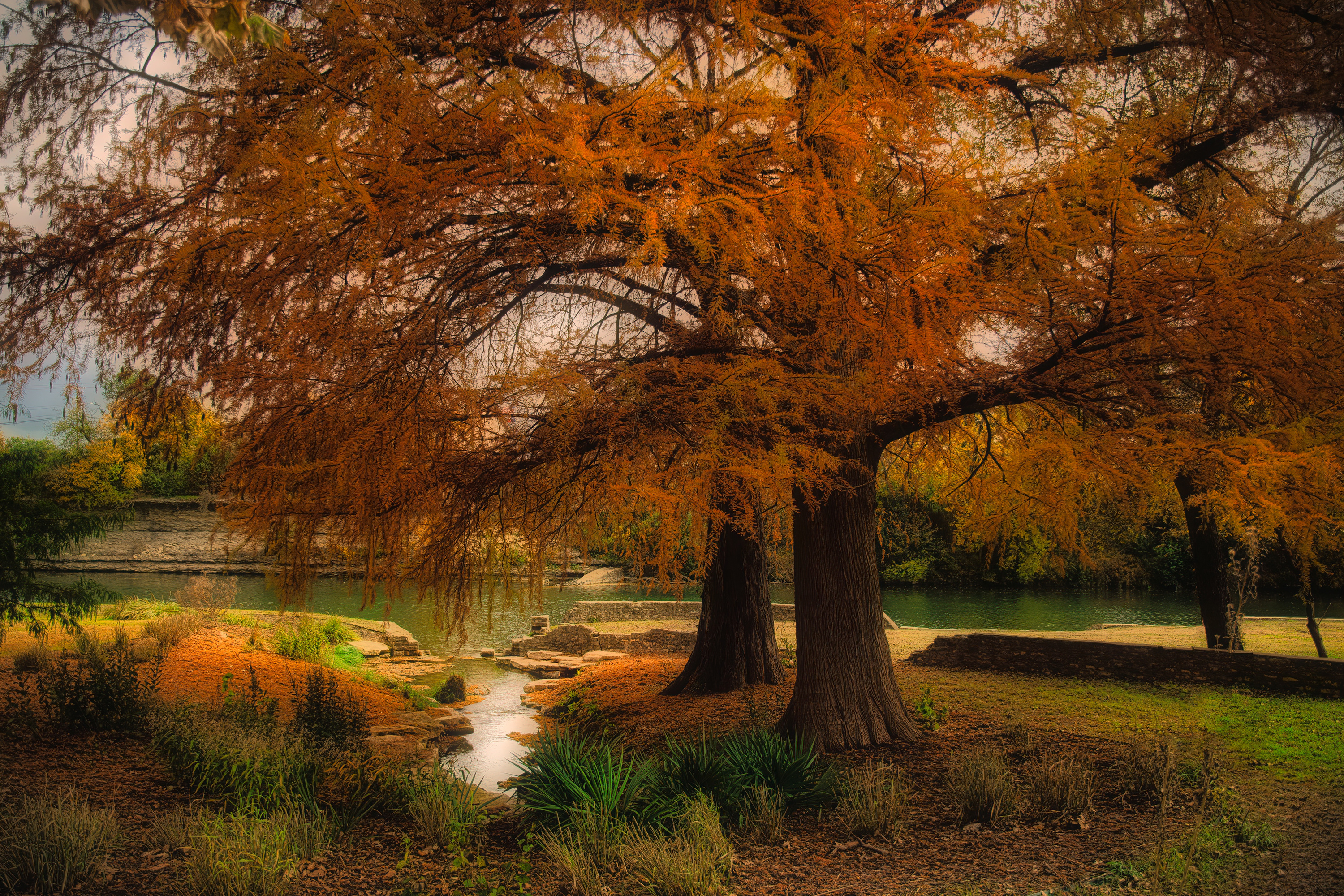 Free download wallpaper Trees, Lake, Park, Tree, Earth on your PC desktop