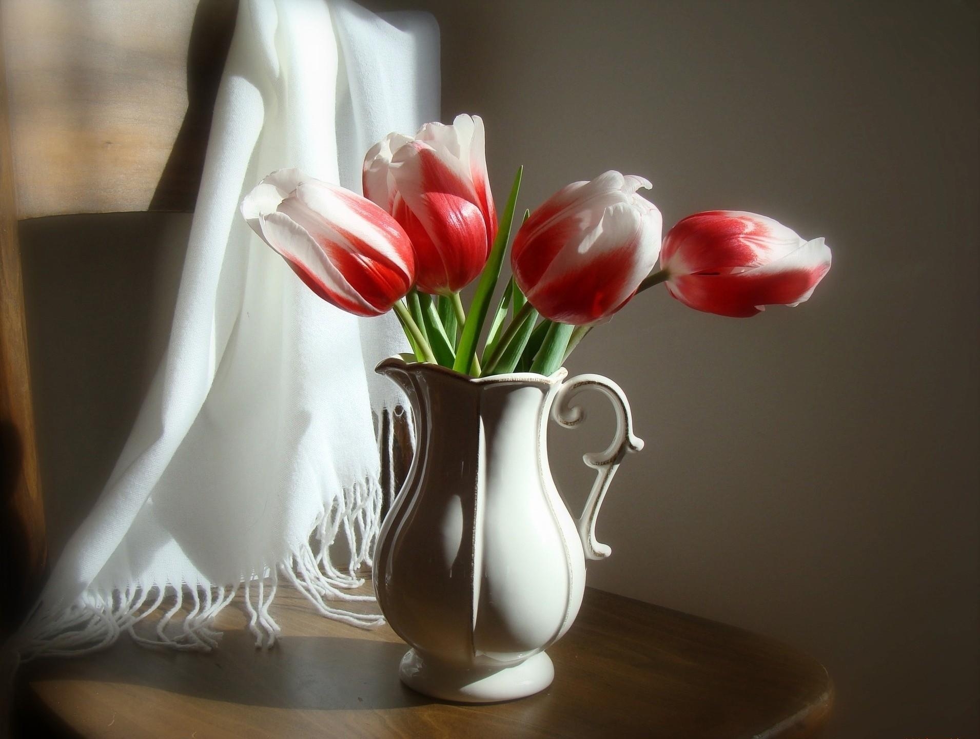 54585 descargar fondo de pantalla tulipanes, flores, silla, jarra, jarro, bicolor, bicolores, robó, estola: protectores de pantalla e imágenes gratis
