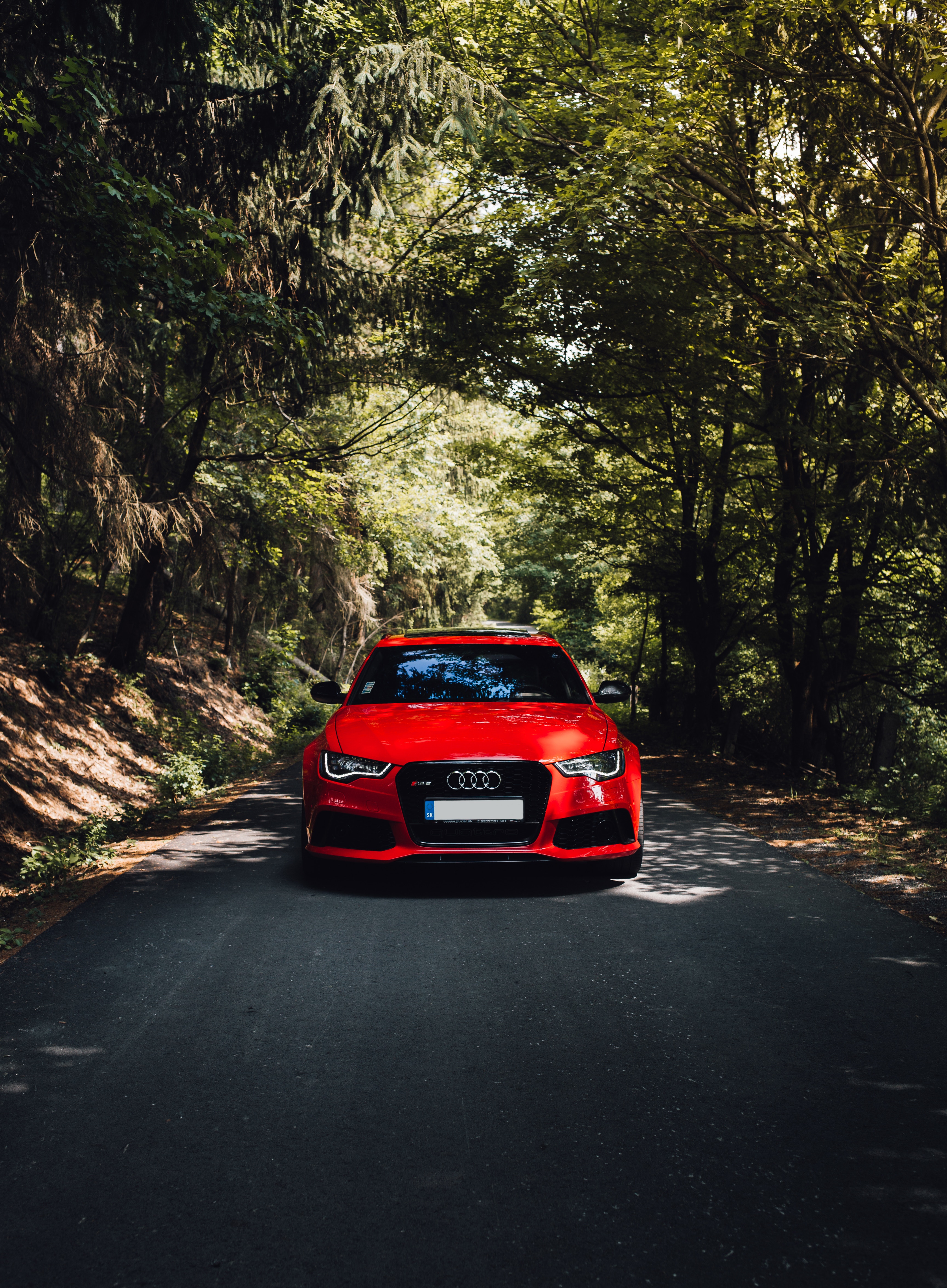 car, audi, front view, cars, forest, trees, red, road, machine