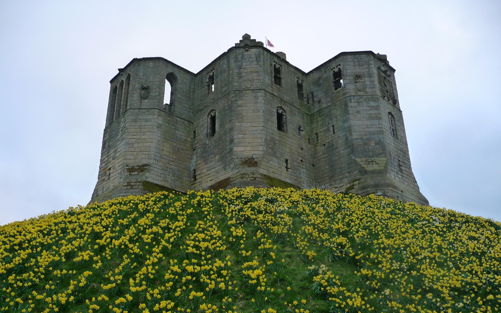 346010 baixar imagens feito pelo homem, castelo de warkworth, castelos - papéis de parede e protetores de tela gratuitamente