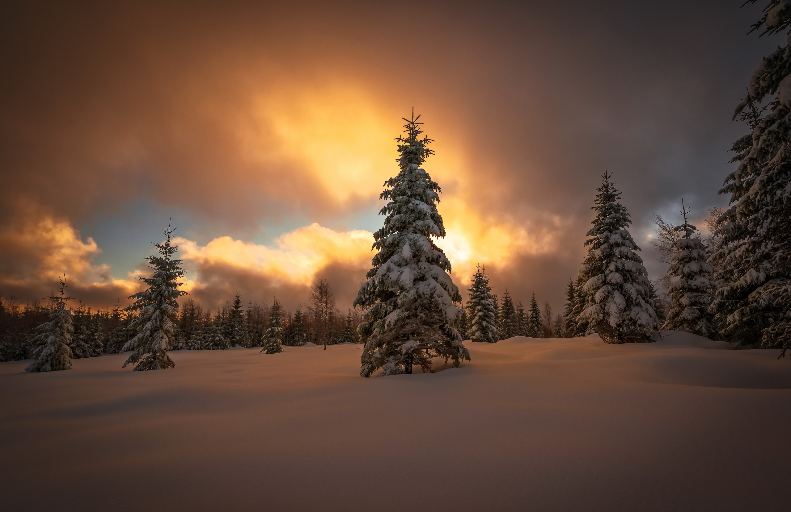 Free download wallpaper Winter, Nature, Snow, Tree, Earth, Cloud on your PC desktop