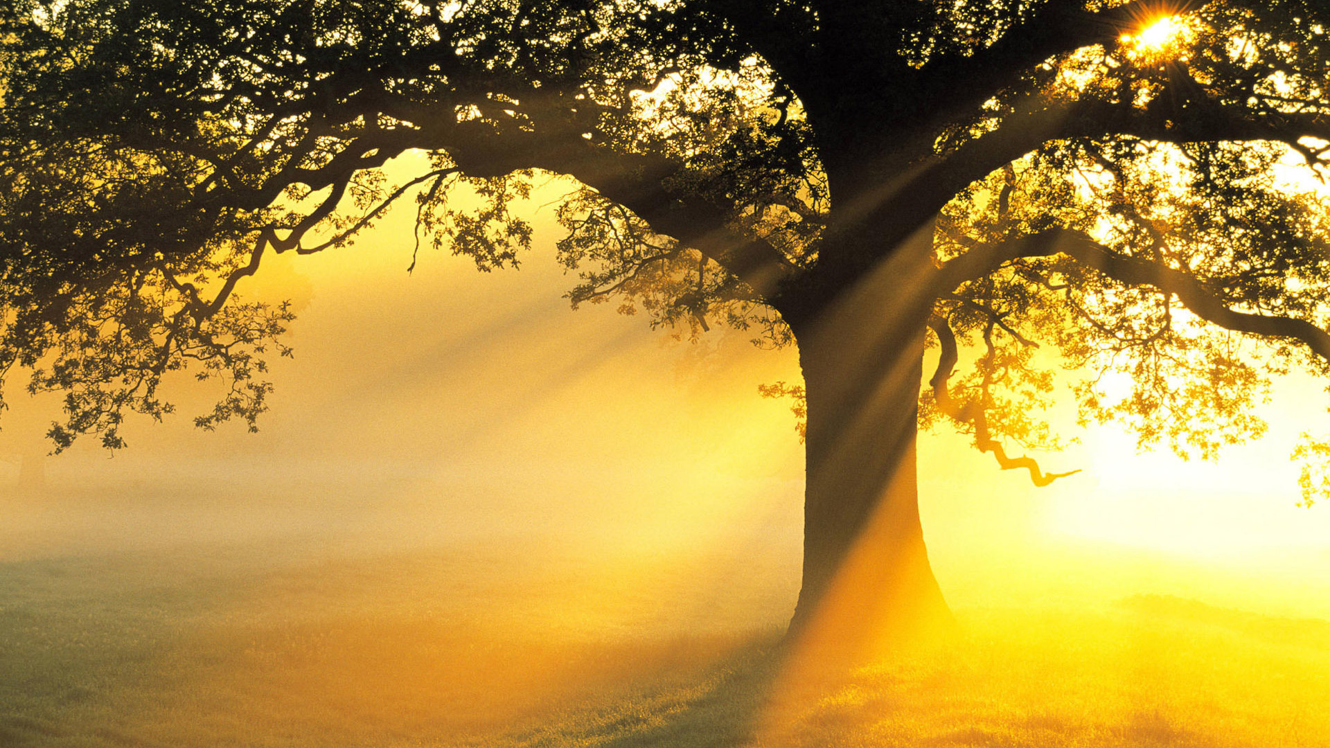 Free download wallpaper Earth, Sunbeam on your PC desktop