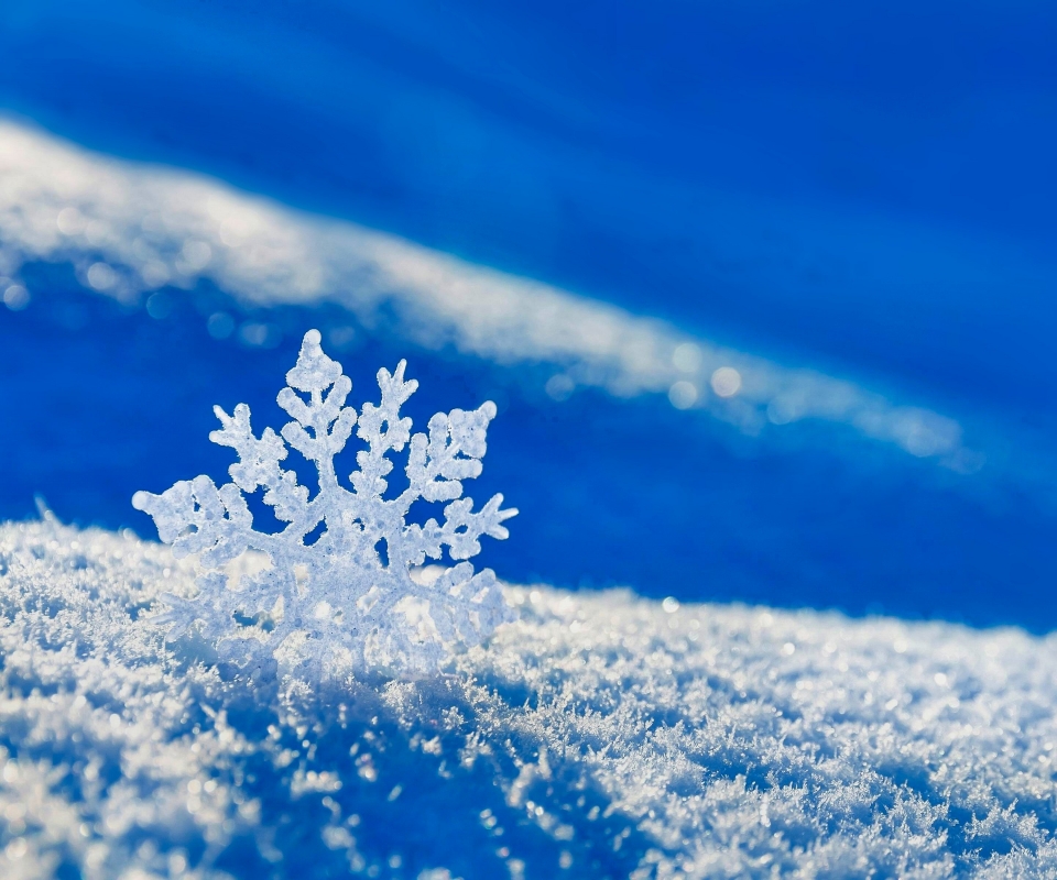 Free download wallpaper Winter, Nature, Snow, Earth, Snowflake on your PC desktop