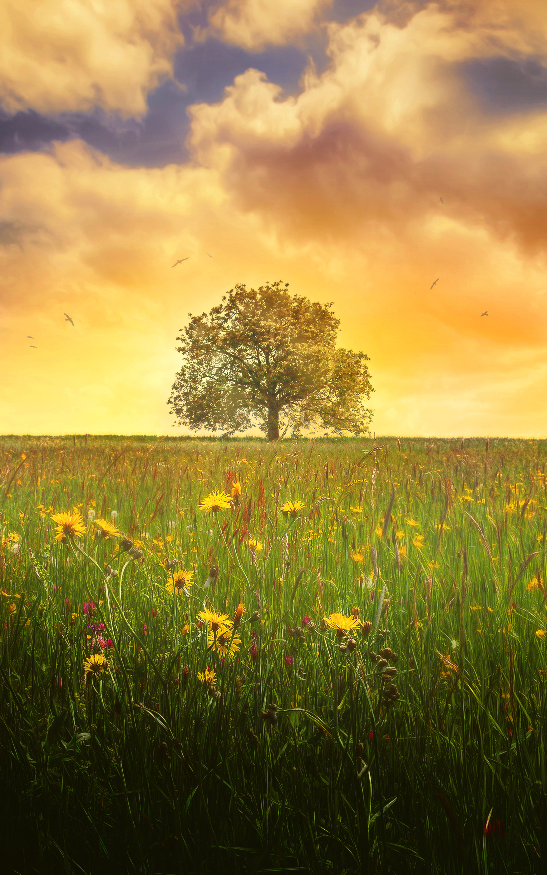 Download mobile wallpaper Nature, Trees, Tree, Earth, Evening, Spring, Meadow, Lonely Tree for free.