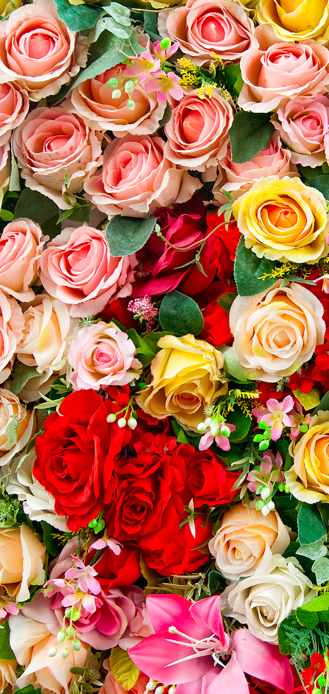 Handy-Wallpaper Blumen, Blume, Rose, Erde, Farben, Bunt, Gelbe Blume, Rote Blume, Erde/natur, Pinke Blume kostenlos herunterladen.