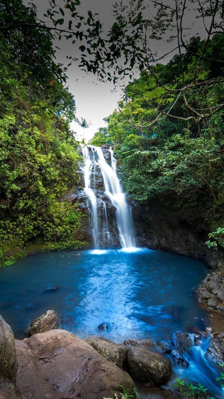 Handy-Wallpaper Wasserfälle, Wasserfall, Wald, Baum, Erde, Hawaii, Erde/natur, Waimano Falls kostenlos herunterladen.