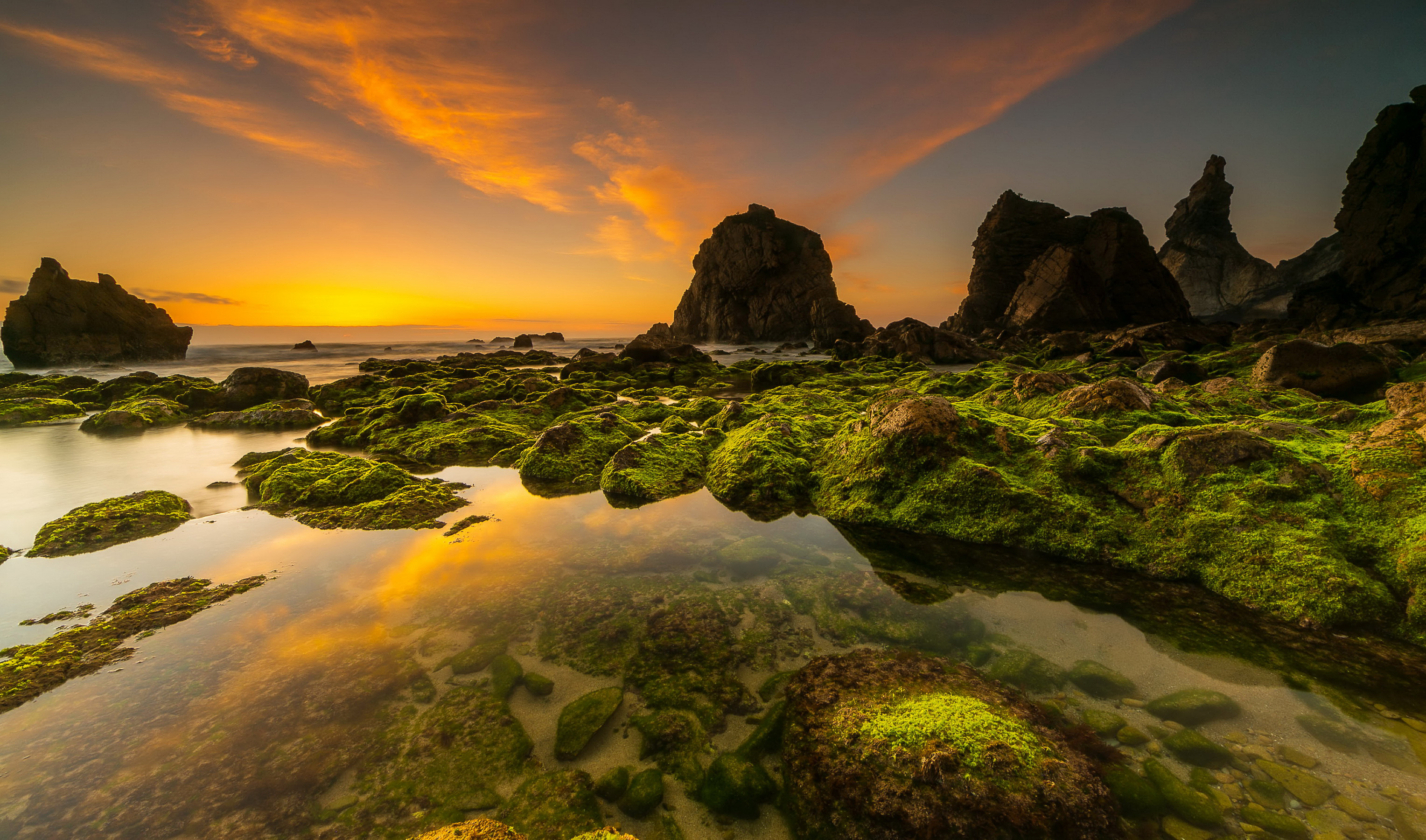 Free download wallpaper Nature, Sunset, Horizon, Earth, Moss, Seascape on your PC desktop