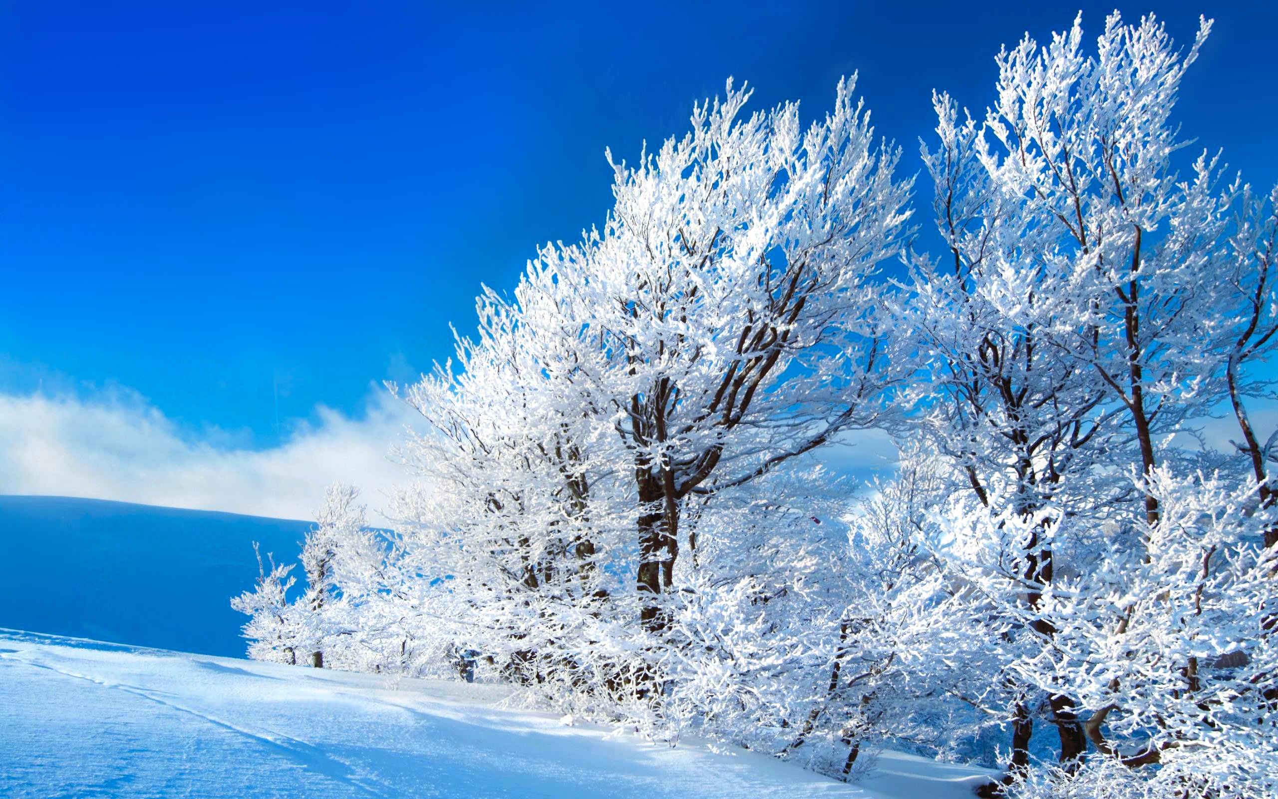 Скачать обои бесплатно Зима, Природа, Снег, Синий, Белый, Земля/природа картинка на рабочий стол ПК