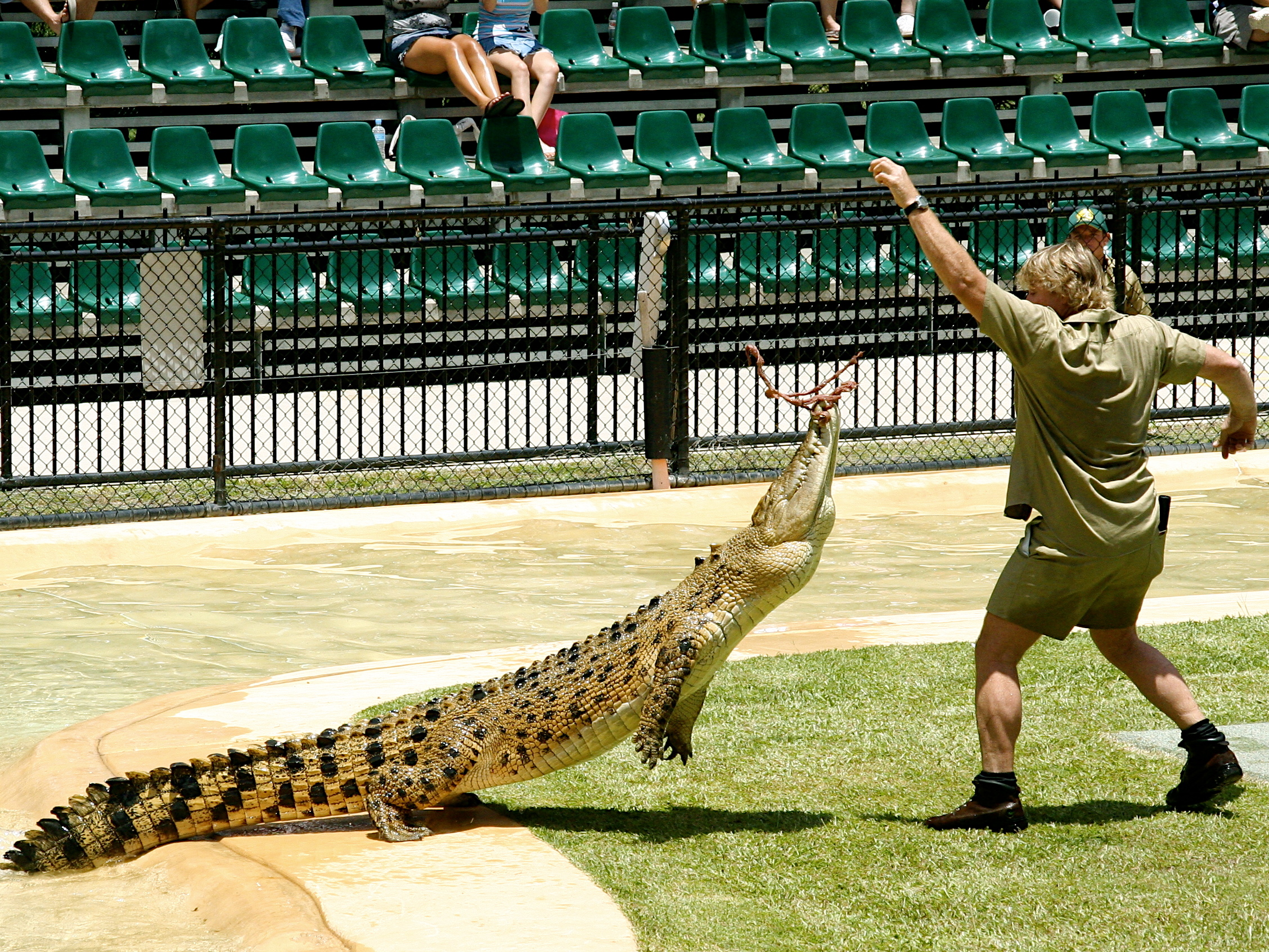 Download mobile wallpaper Crocodile, Celebrity, Australian, Steve Irwin for free.