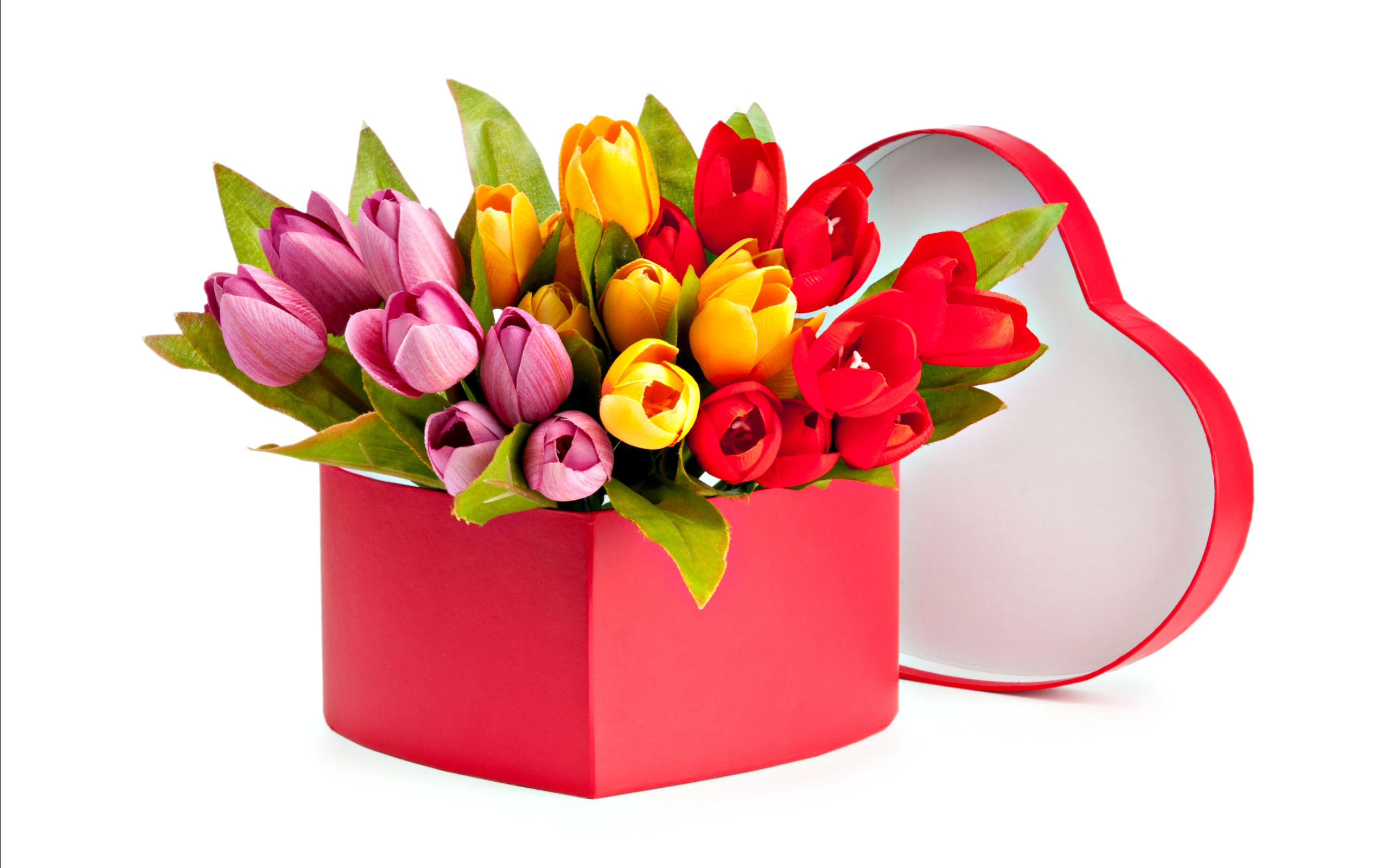 Free download wallpaper Flower, Colors, Box, Colorful, Tulip, Yellow Flower, Red Flower, Man Made, Pink Flower on your PC desktop