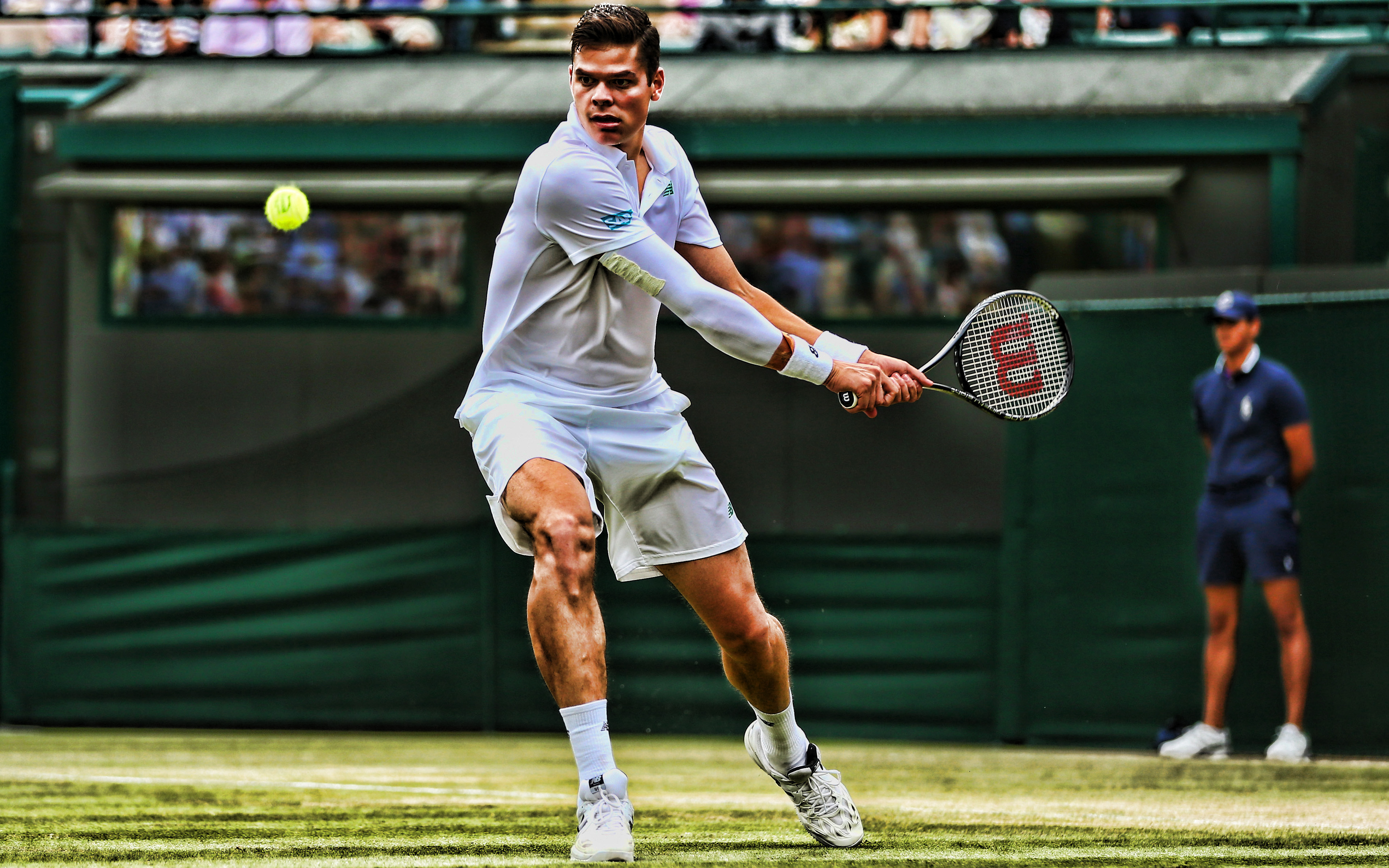 Die besten Milos Raonic-Hintergründe für den Telefonbildschirm