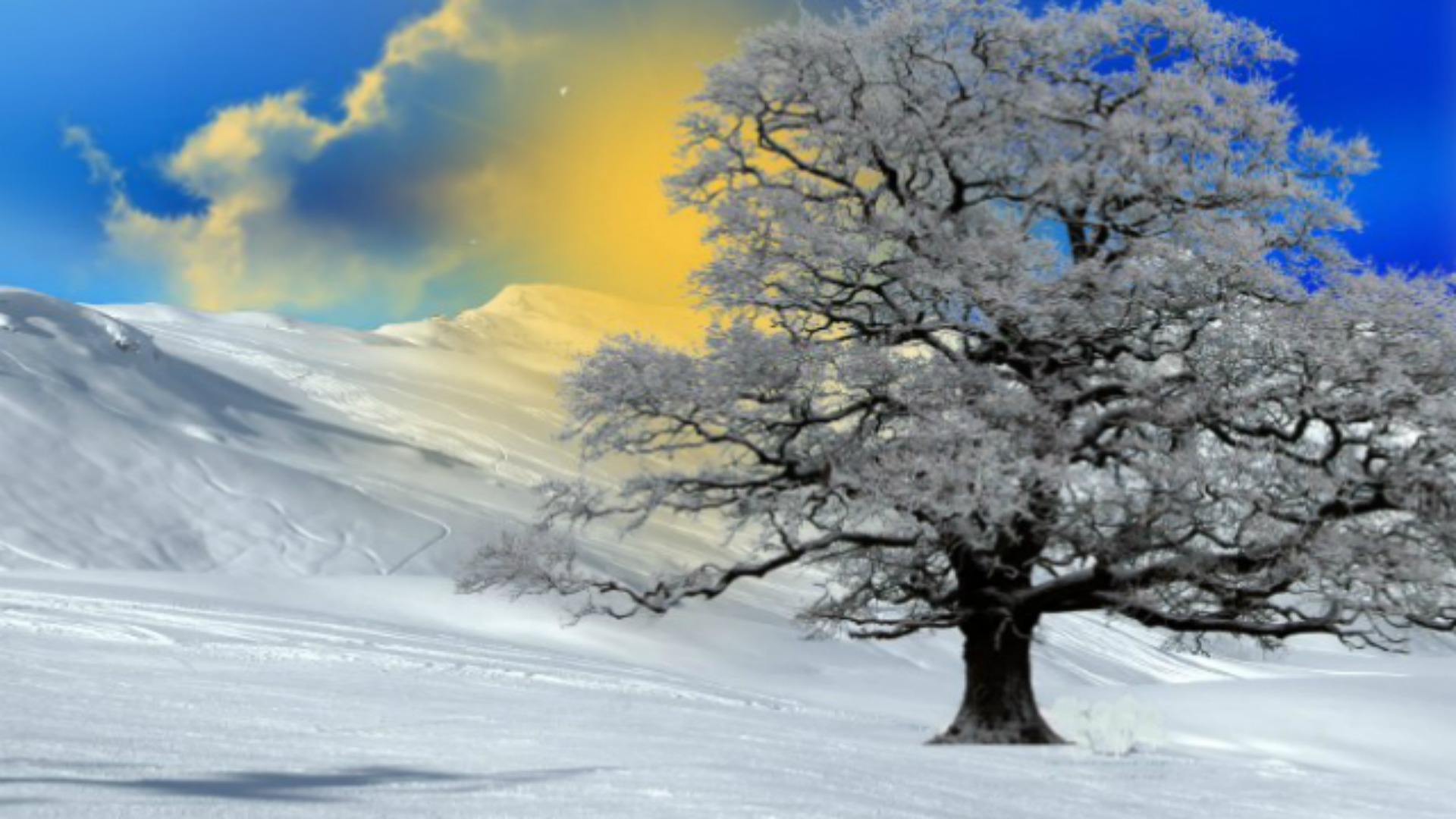 Free download wallpaper Winter, Sky, Snow, Tree, Earth, Cloud on your PC desktop