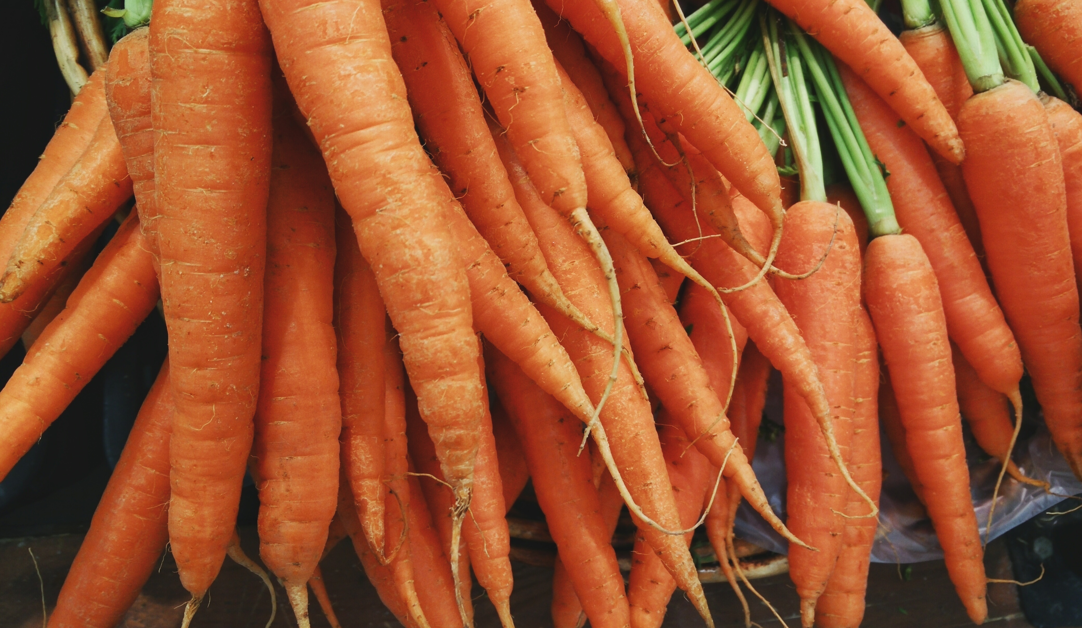 95098 скачать картинку морковь, еда, овощи, много - обои и заставки бесплатно