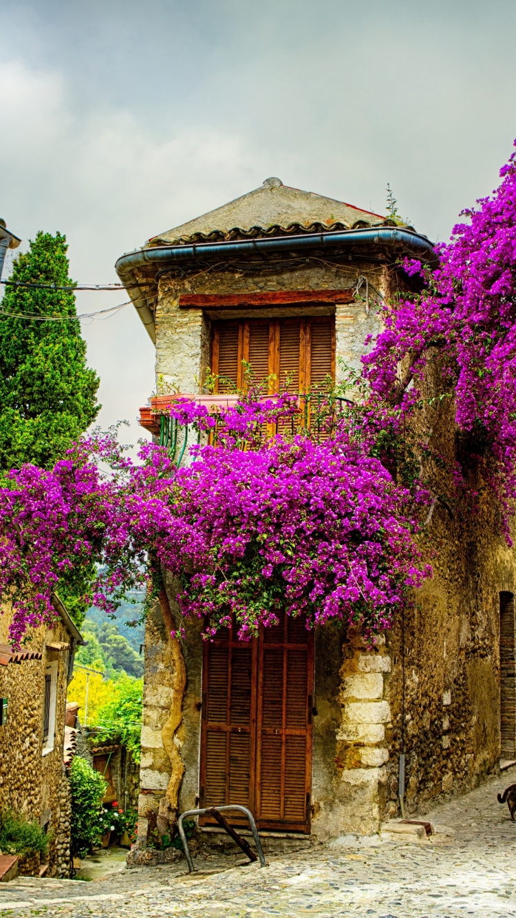1242598壁紙のダウンロードプロヴァンス, マンメイド, 街, フランス, 建築, 花, 紫色の花-スクリーンセーバーと写真を無料で