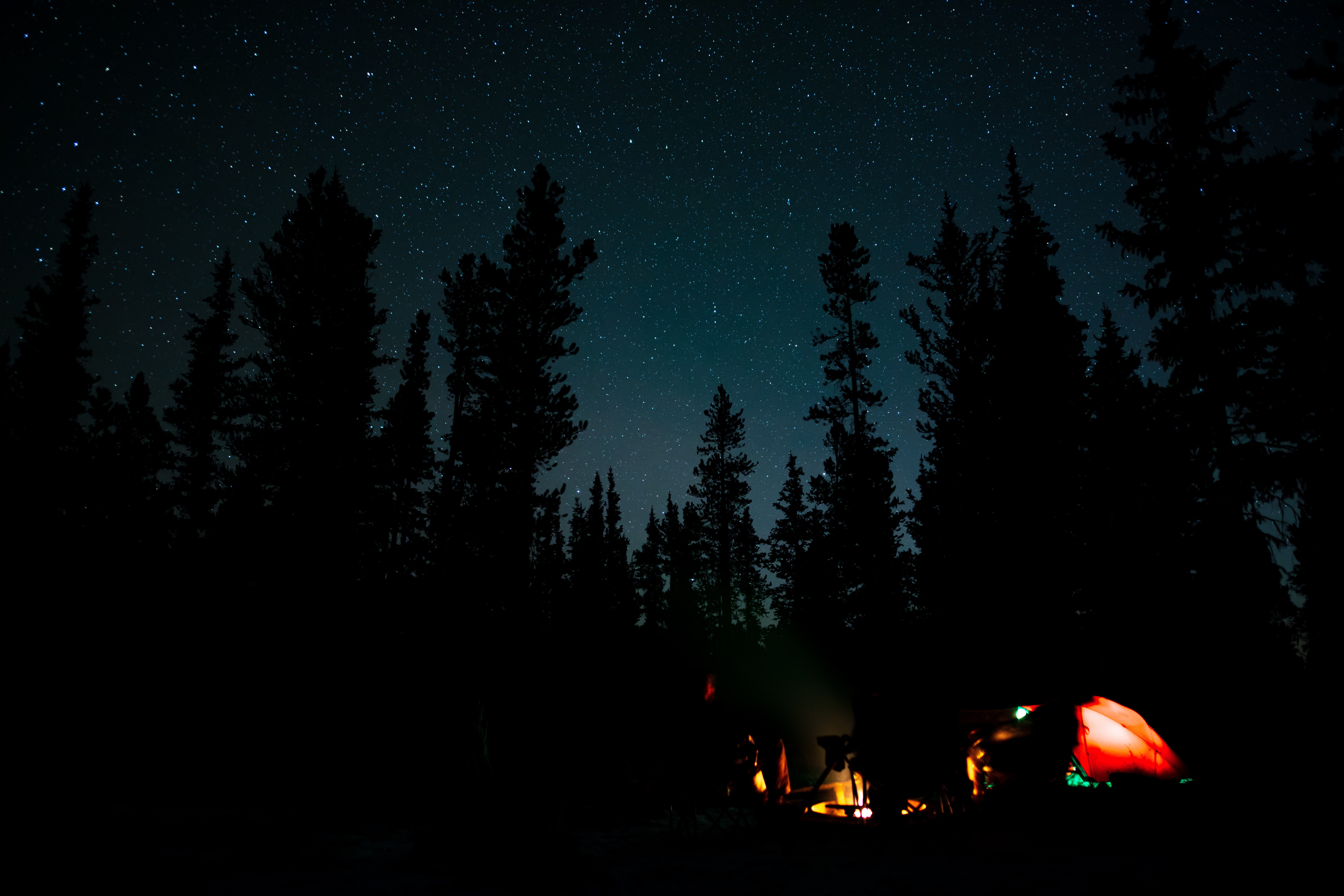 camping, bonfire, campsite, night, dark, forest