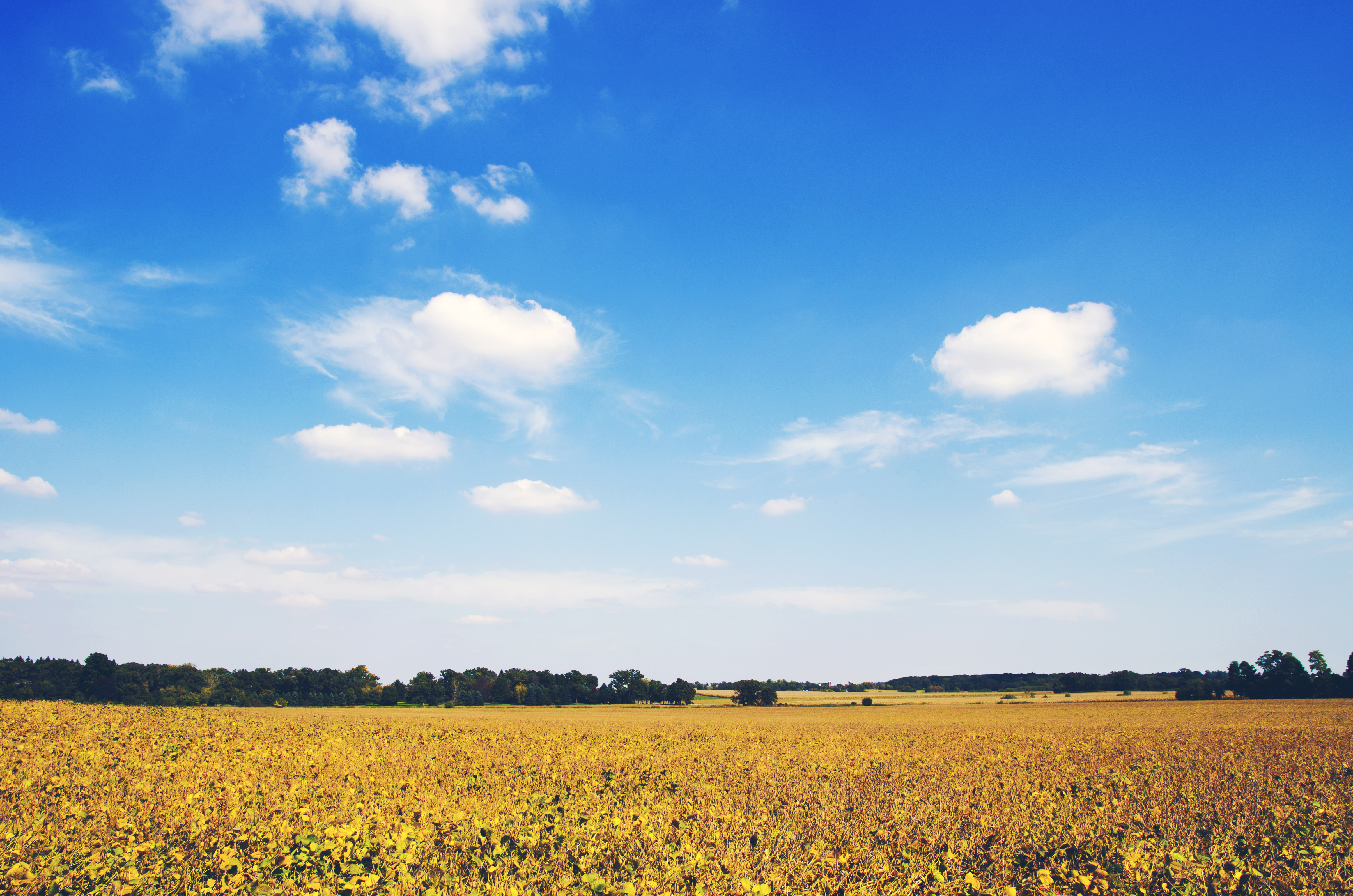 Download mobile wallpaper Landscape, Nature, Sky, Summer, Earth, Field, Cloud for free.