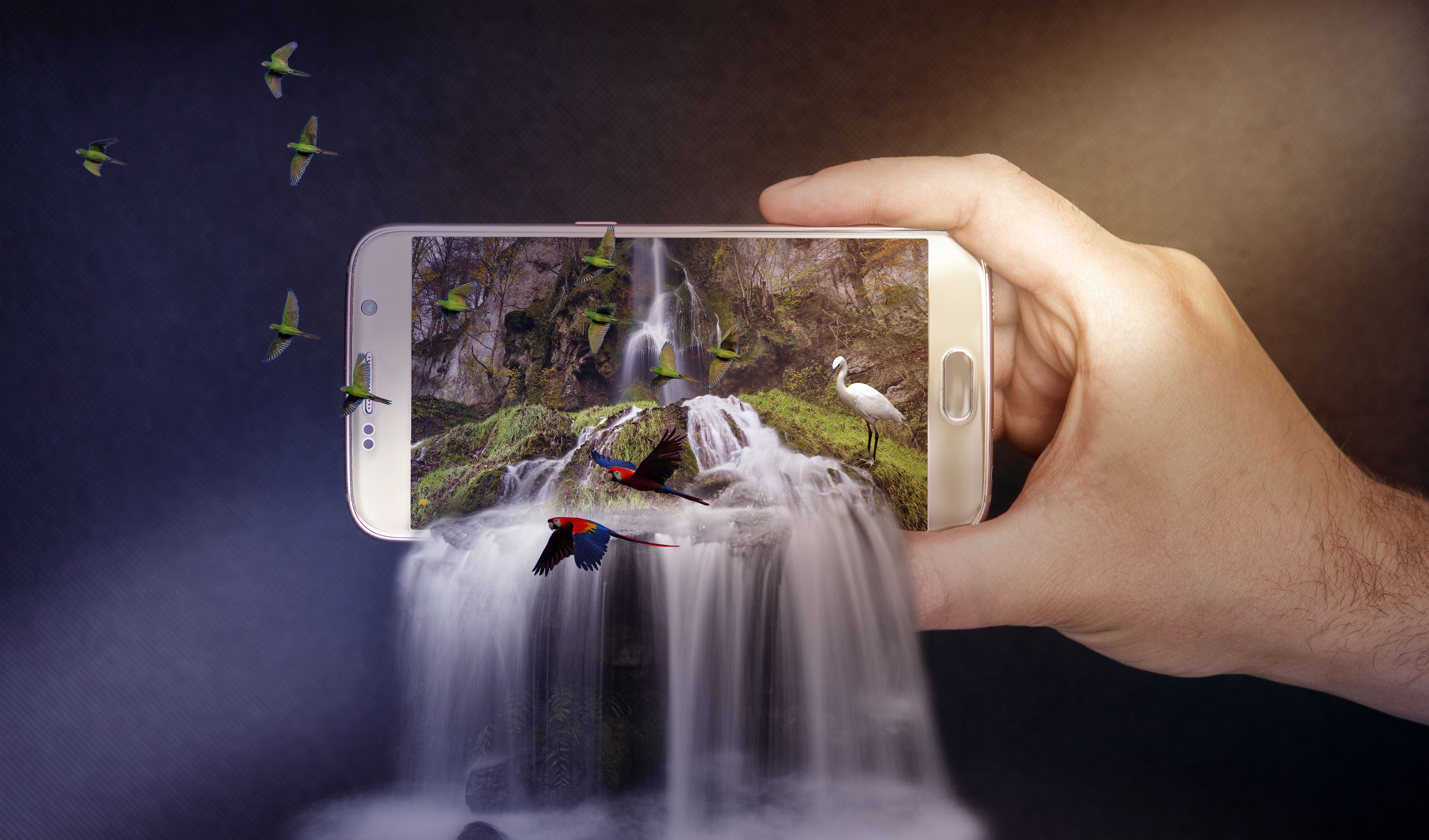 photography, manipulation, bird, hand, phone, smartphone, waterfall