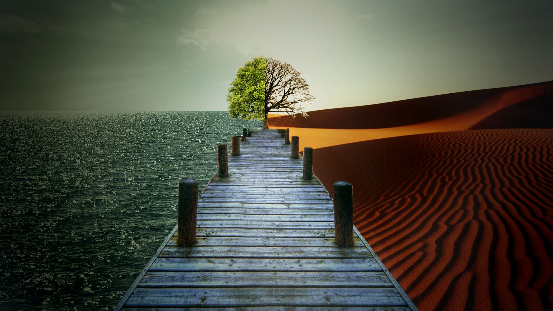 Download mobile wallpaper Sea, Sand, Desert, Pier, Tree, Artistic, Lonely Tree for free.