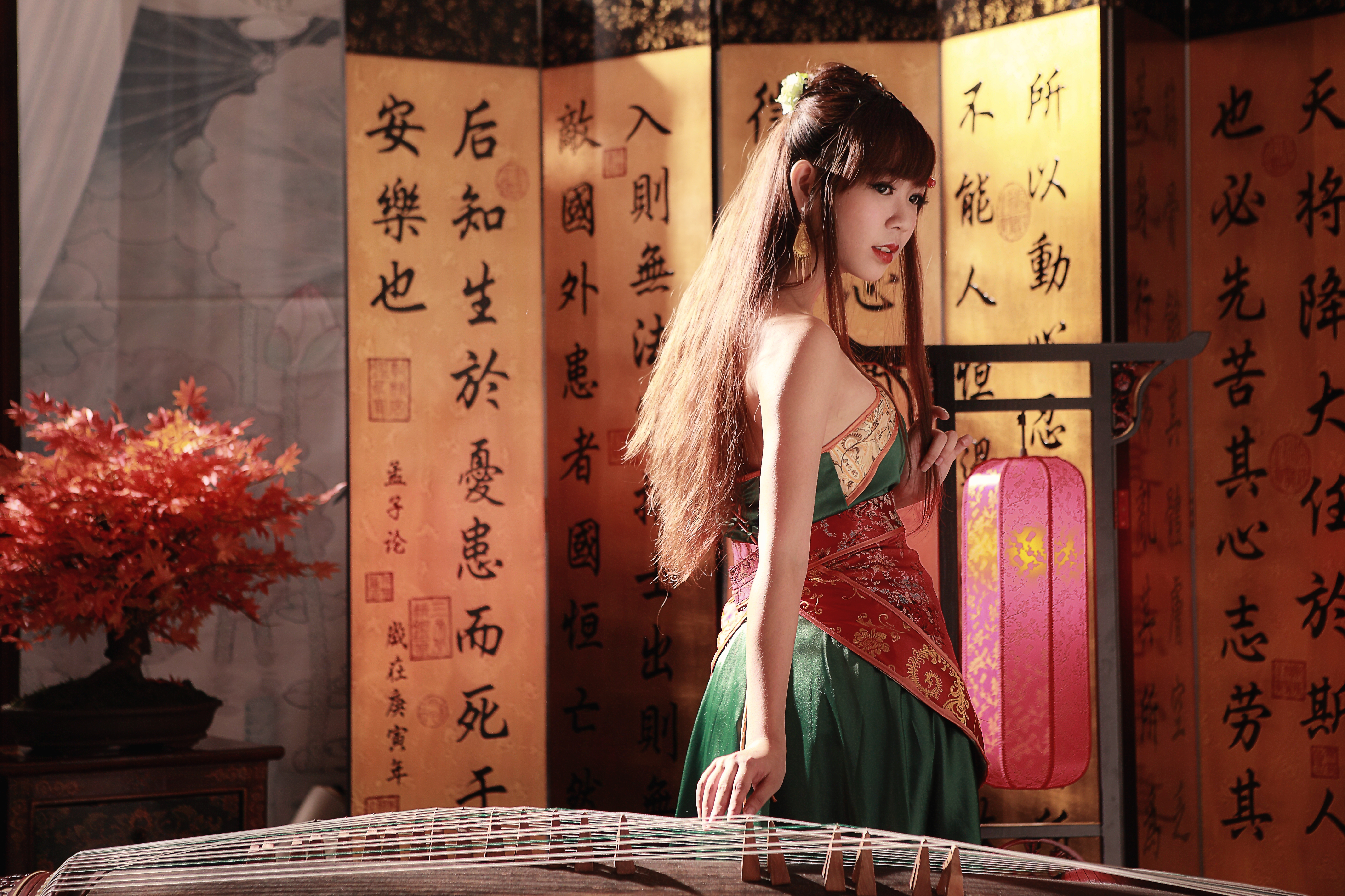 women, sà lín, asian, bonsai, instrument, national dress, taiwanese
