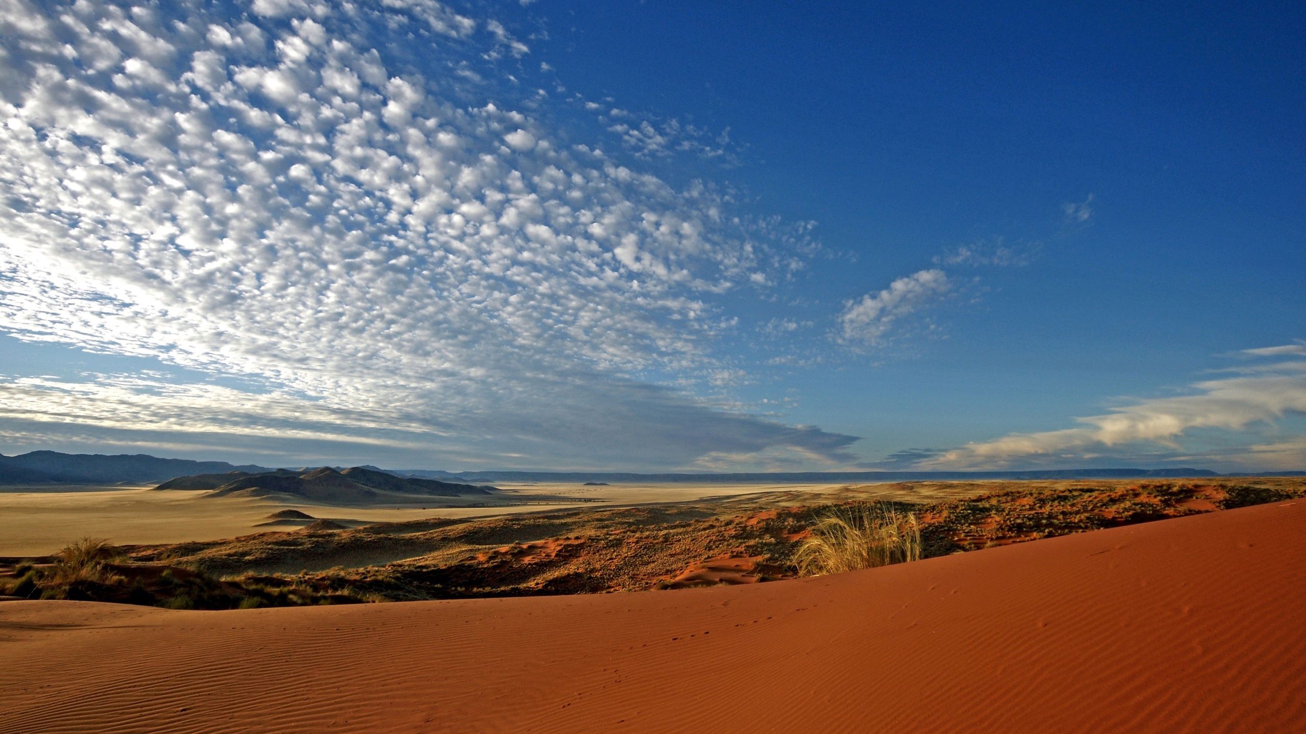 81869 Hintergrundbild herunterladen natur, clouds, sand, wüste, stift, gefieder - Bildschirmschoner und Bilder kostenlos