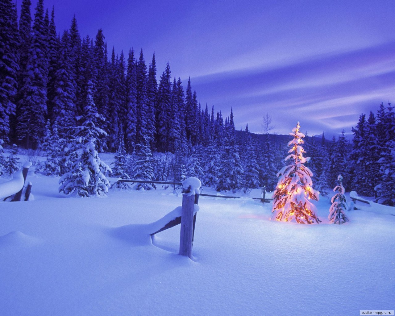 Téléchargez gratuitement l'image Hiver, Terre/nature sur le bureau de votre PC