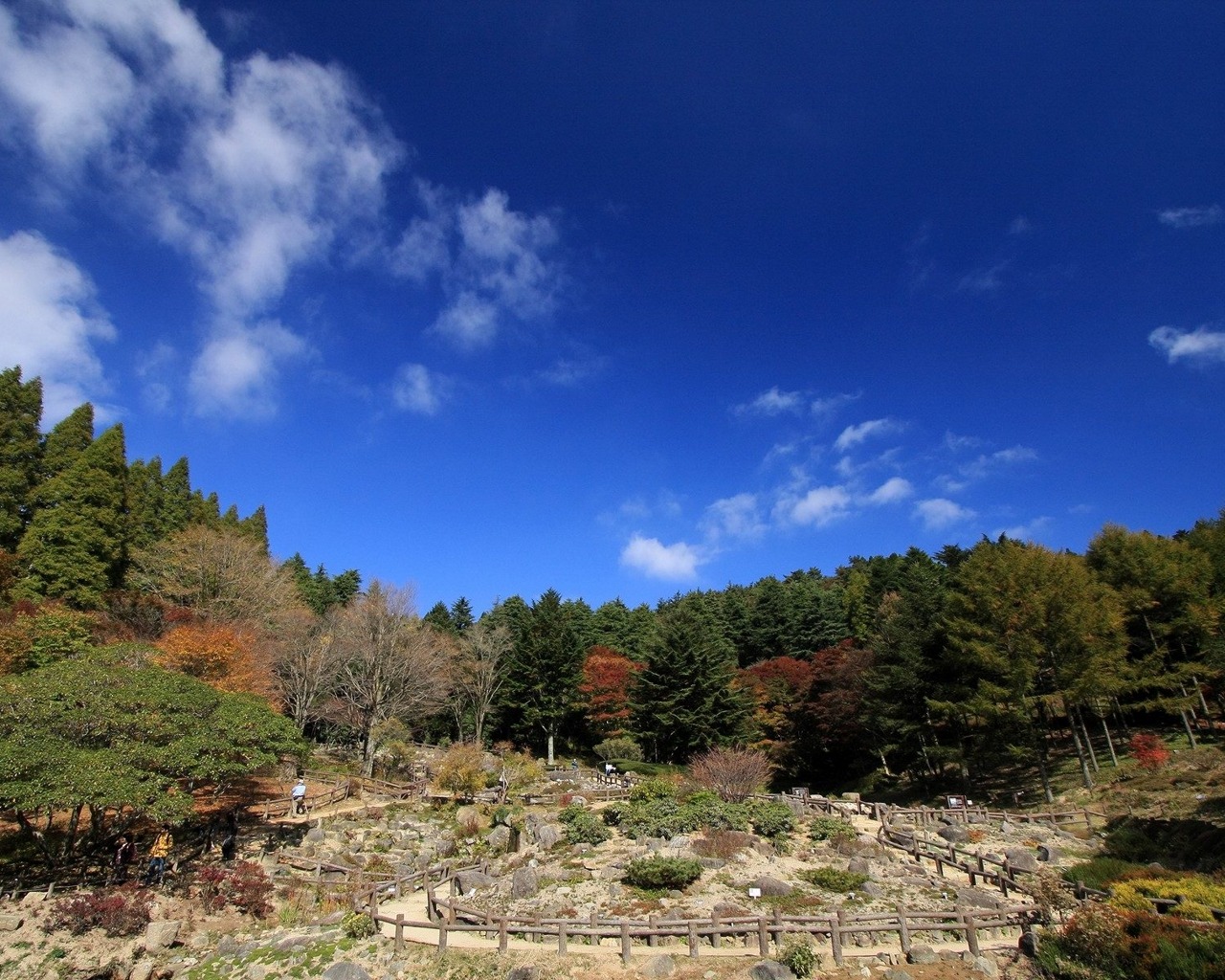 Descarga gratuita de fondo de pantalla para móvil de Paisaje, Fotografía.