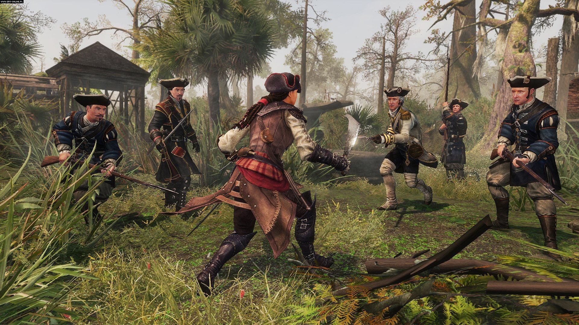 video game, assassin's creed iii: liberation, assassin's creed