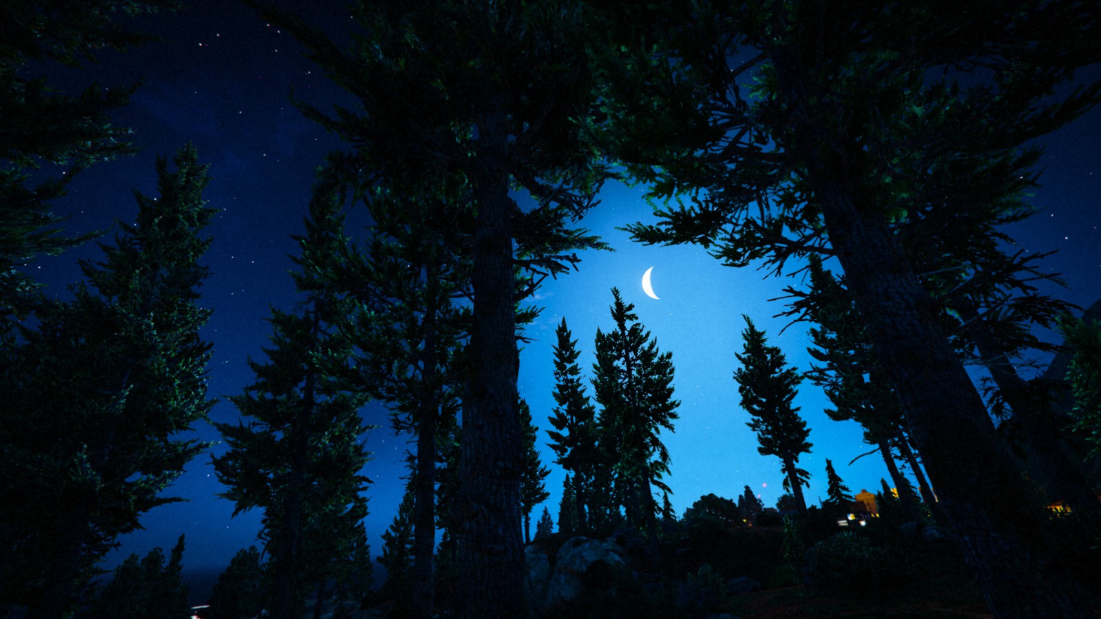 Handy-Wallpaper Mond, Holz, Wald, Nacht, Himmel, Computerspiele, Grand Theft Auto V kostenlos herunterladen.