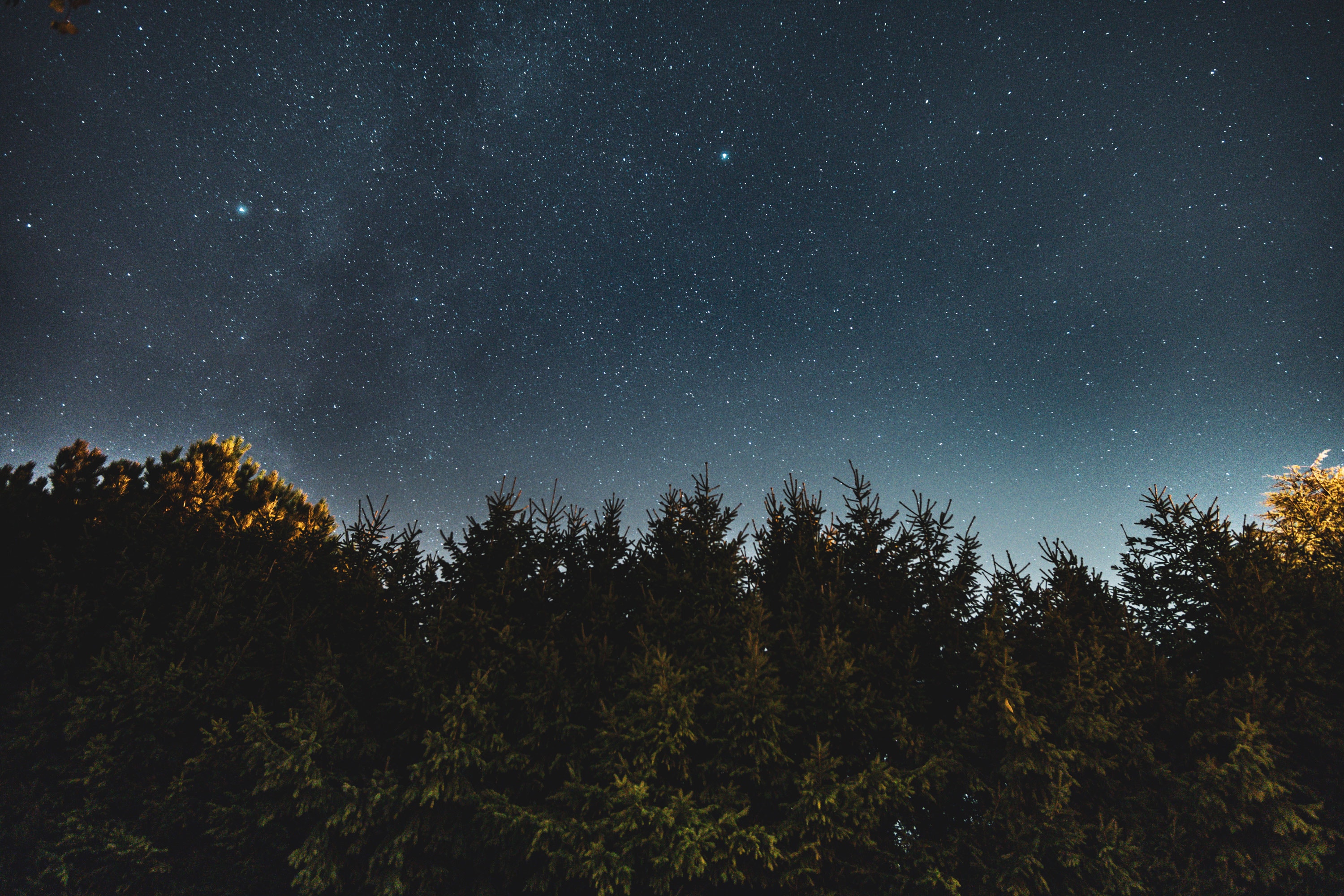 Free download wallpaper Nature, Trees, Starry Sky, Ate, Sky, Night on your PC desktop