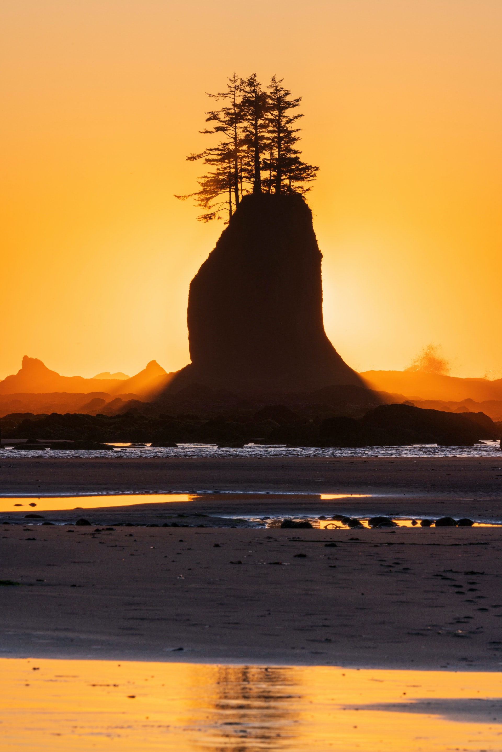 Download mobile wallpaper Rock, Trees, Coast, Sunset, Nature, Silhouette for free.
