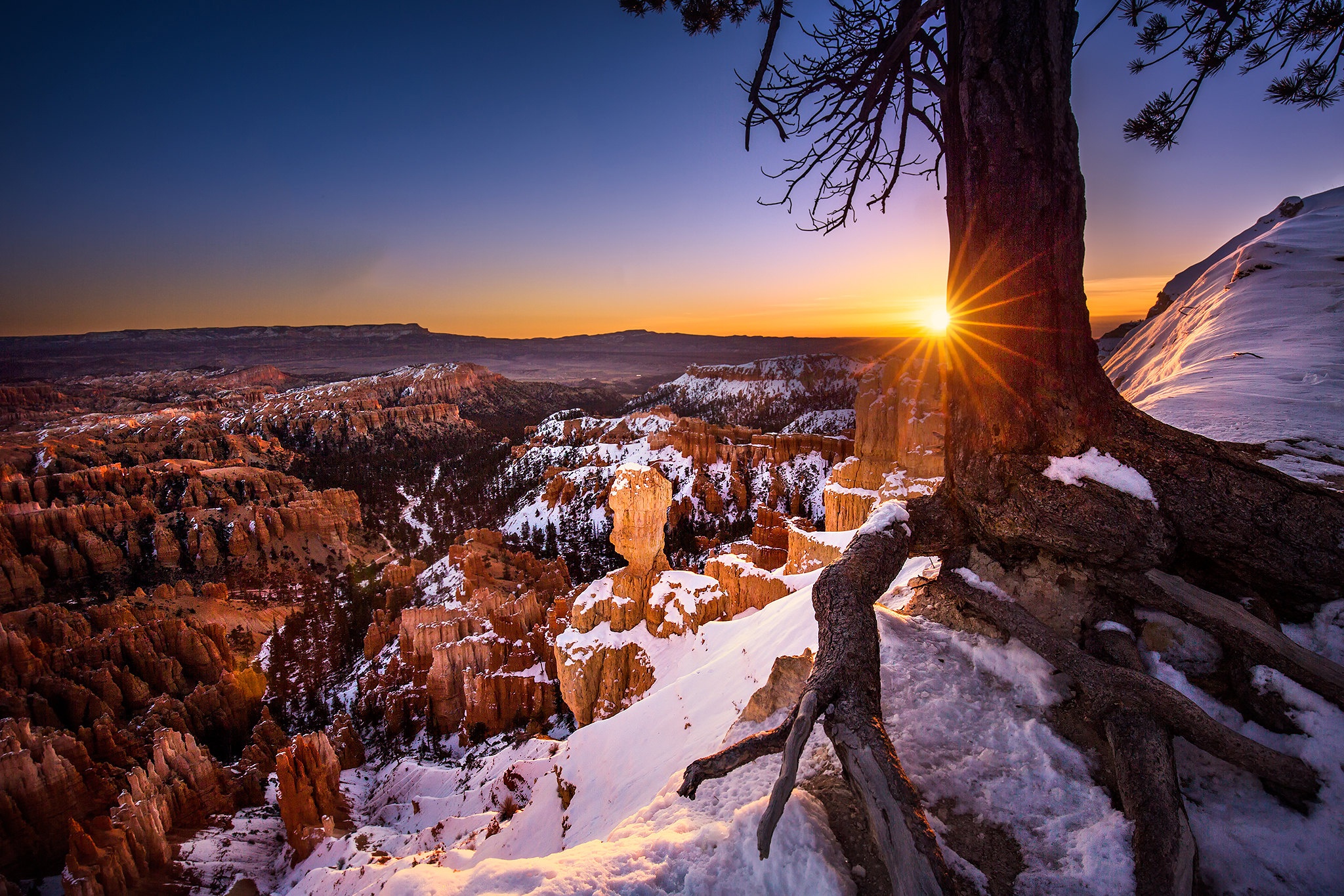 Laden Sie das Schnee, Baum, Utah, Nationalpark, Sonnenuntergang, Vereinigte Staaten Von Amerika, Erde/natur, Bryce Canyon Nationalpark-Bild kostenlos auf Ihren PC-Desktop herunter