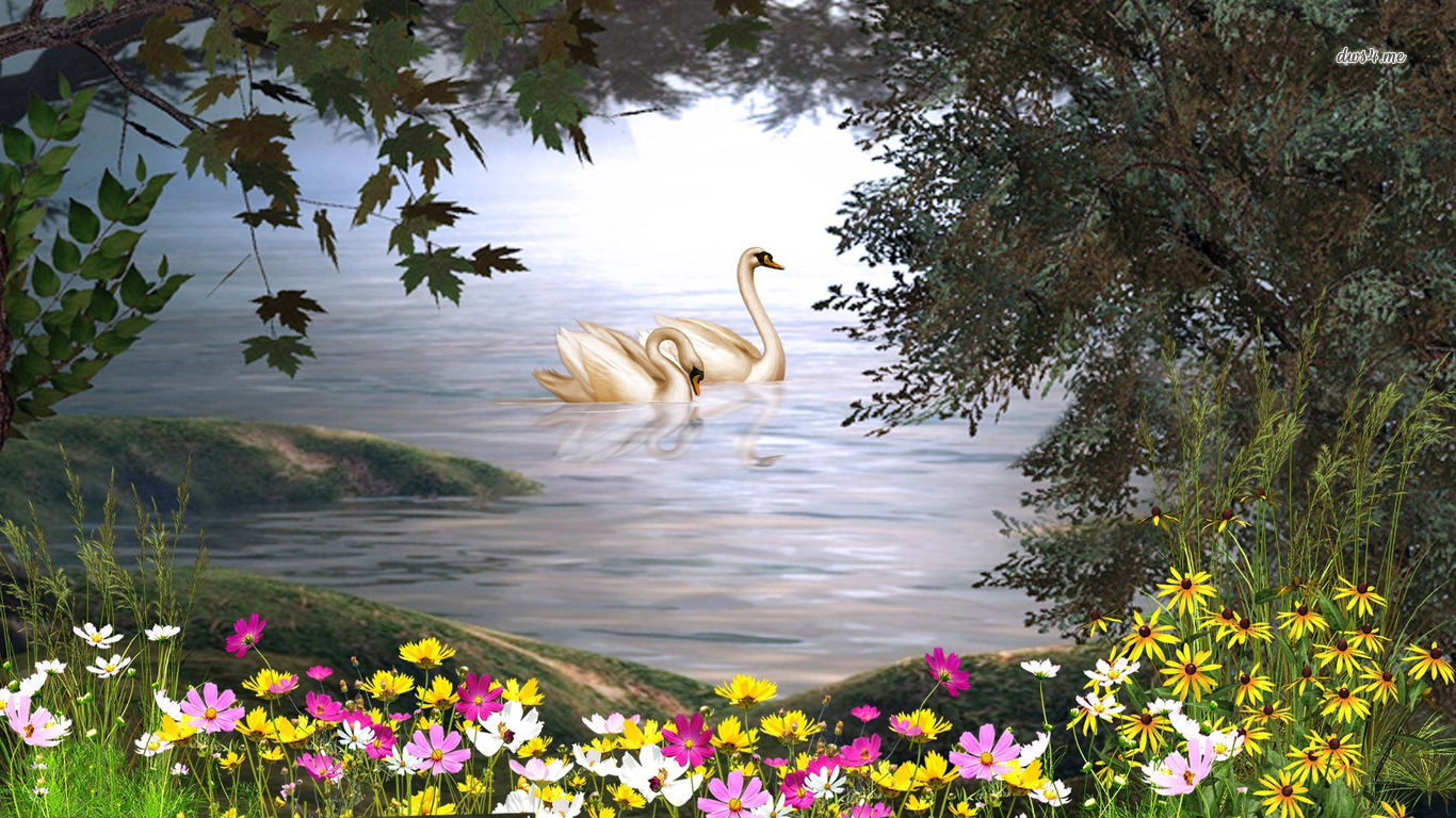 Download mobile wallpaper Mute Swan, Bird, Birds, Animal for free.