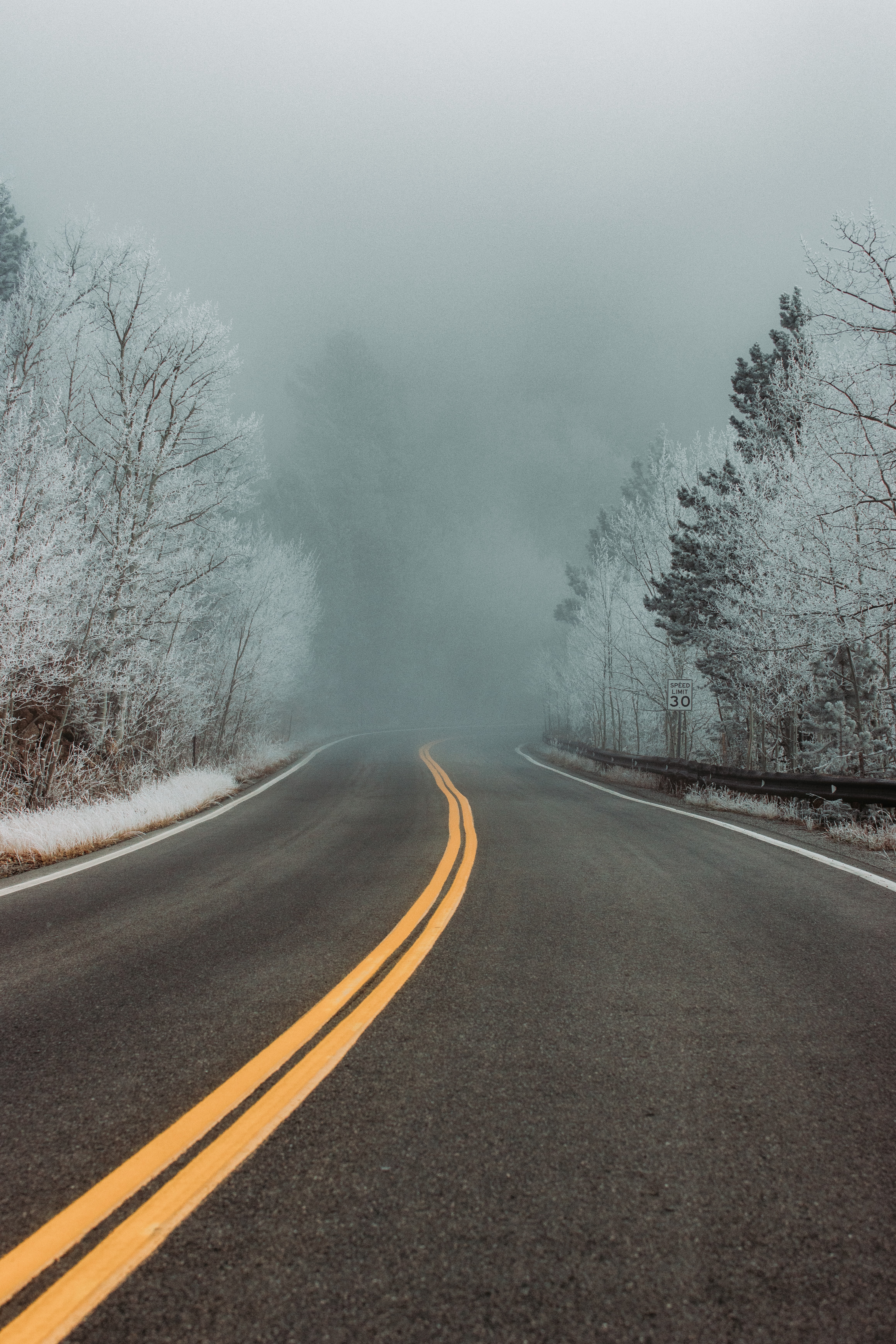 snow, winter, nature, trees, road, turn, fog