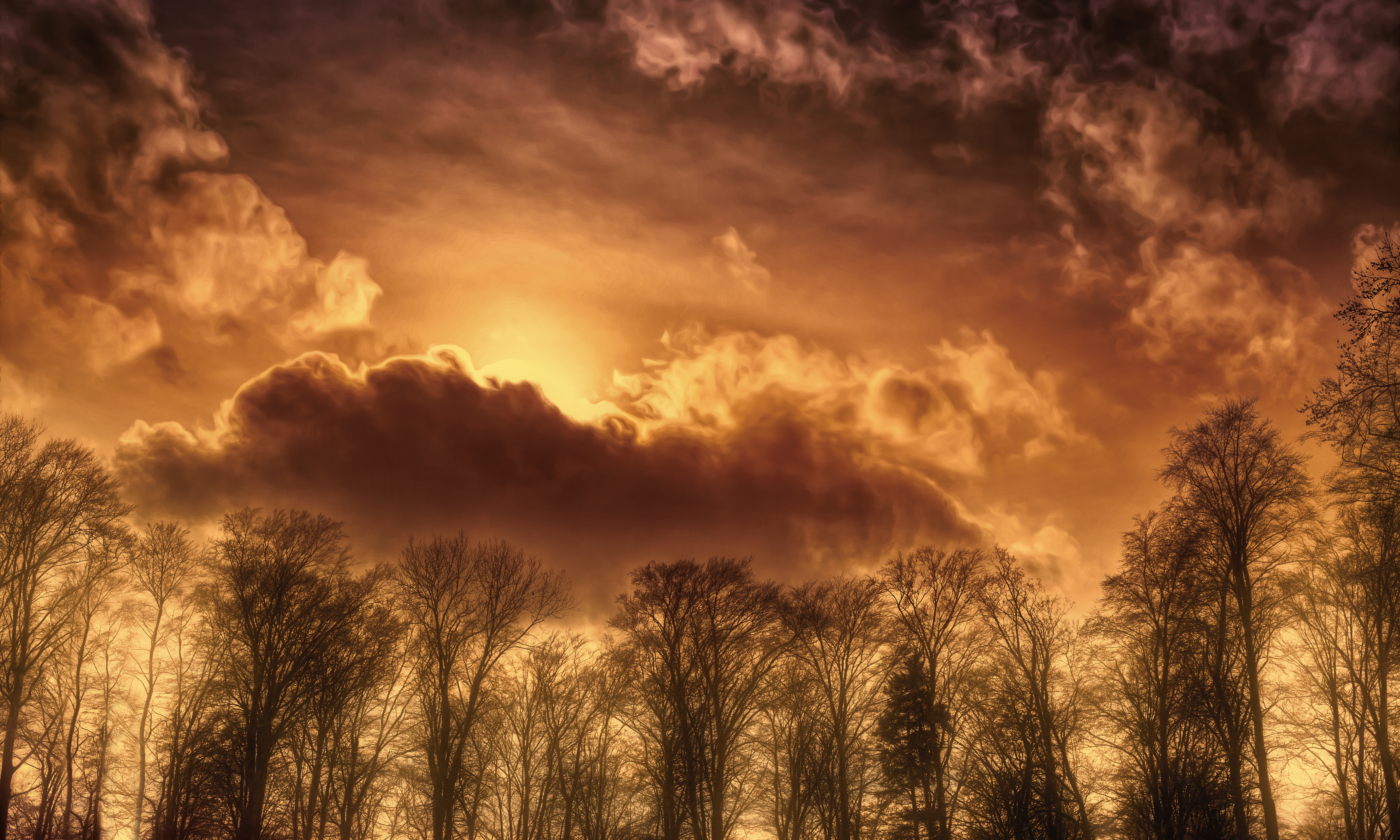 Handy-Wallpaper Baum, Wolke, Himmel, Sonnenuntergang, Erde/natur kostenlos herunterladen.