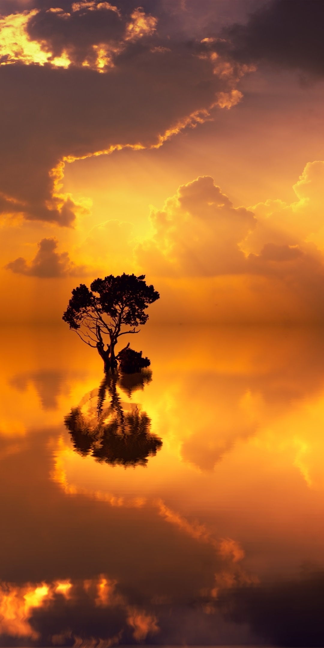 Download mobile wallpaper Sunset, Lake, Reflection, Tree, Earth, Cloud for free.