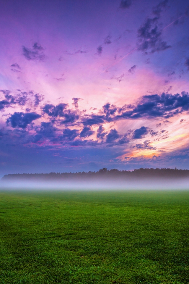 Download mobile wallpaper Landscape, Nature, Grass, Fog, Sunrise, Earth, Field, Cloud for free.