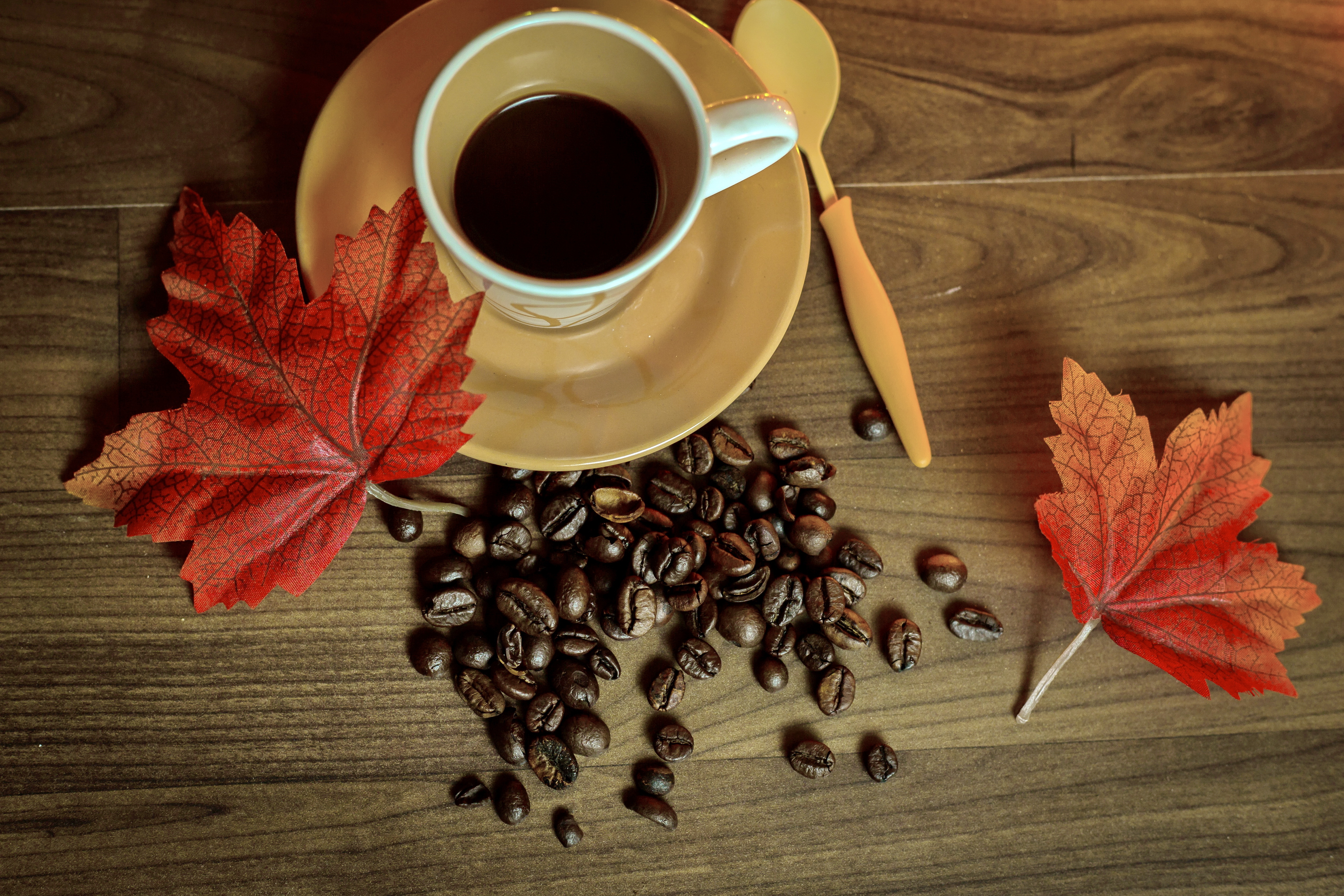 Free download wallpaper Food, Coffee, Cup, Leaf, Coffee Beans on your PC desktop