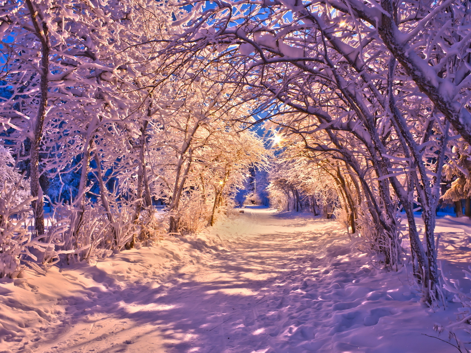 22022 Bild herunterladen winter, landschaft, bäume, roads, schnee - Hintergrundbilder und Bildschirmschoner kostenlos