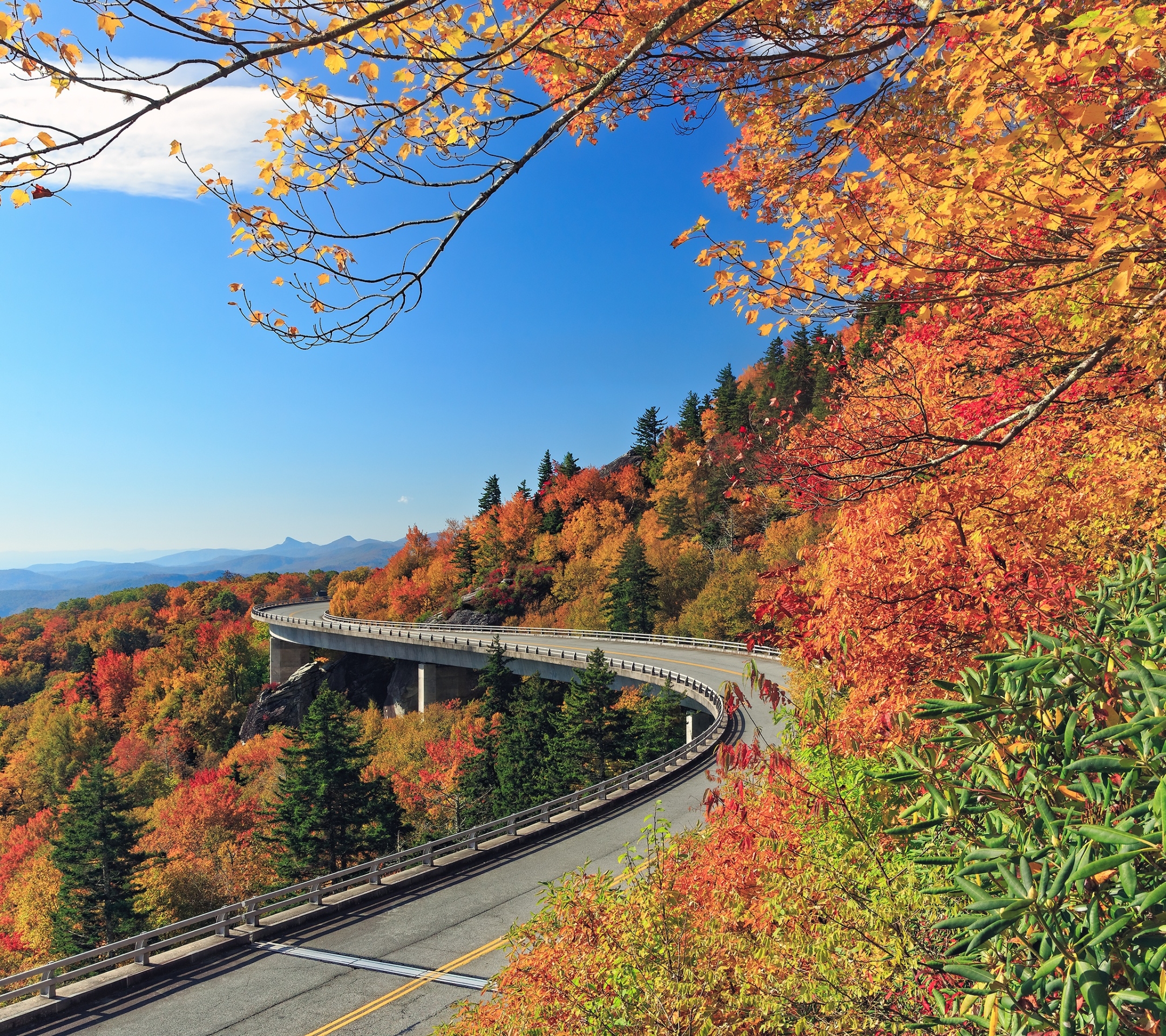 PCデスクトップに風景, 自然, 秋, 道, 森, マンメイド画像を無料でダウンロード
