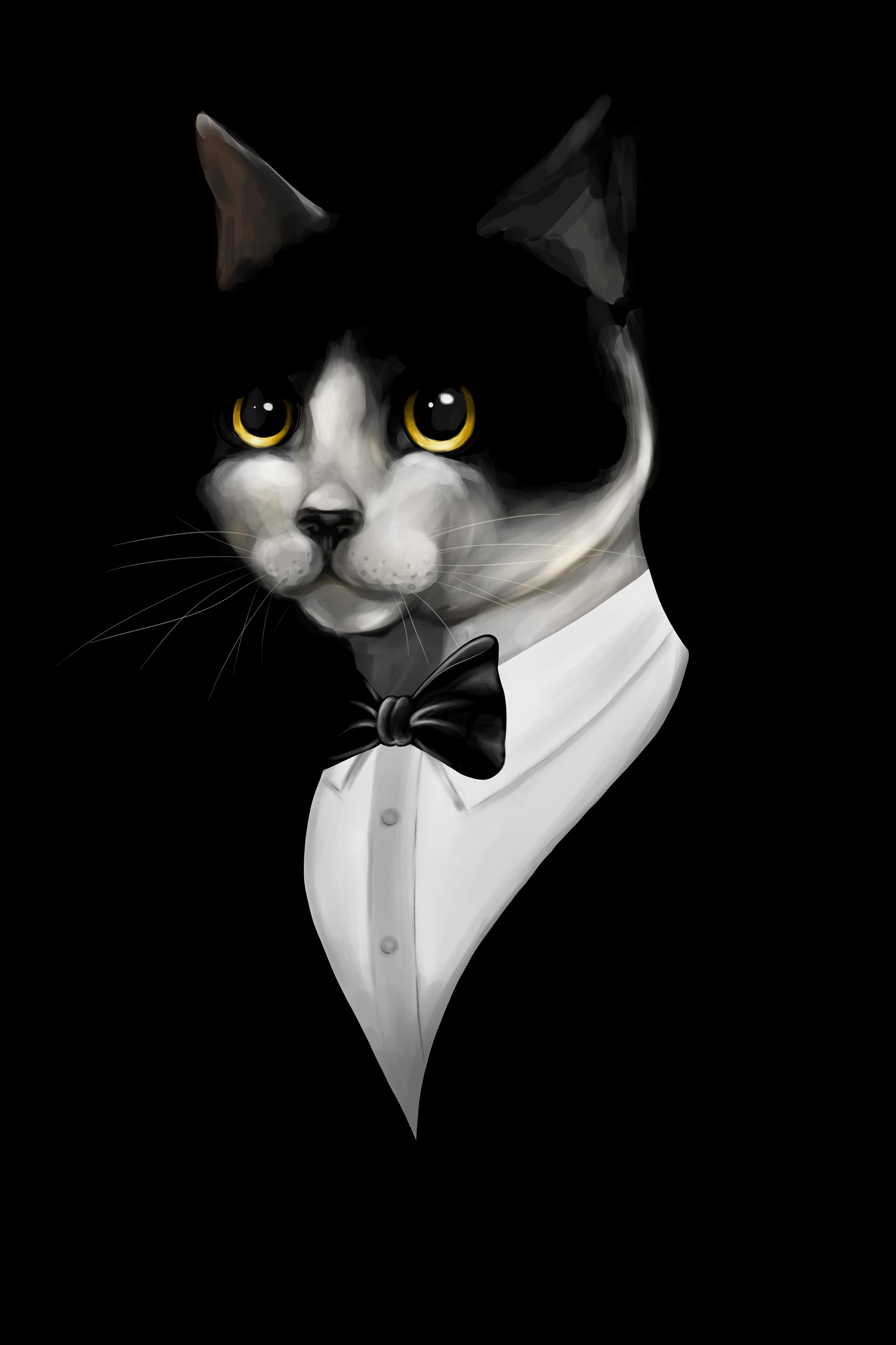129205 descargar imagen arte, esmoquin, negro, gato, el negro, mascota, el esmoquin: fondos de pantalla y protectores de pantalla gratis