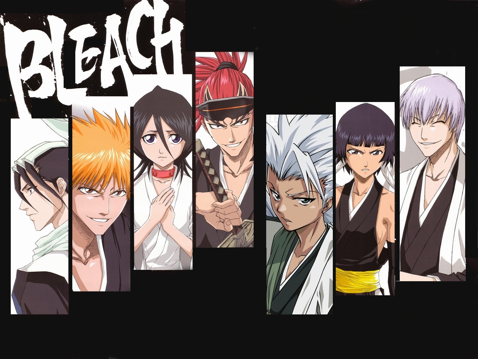 Free download wallpaper Anime, Bleach, Rukia Kuchiki, Renji Abarai, Ichigo Kurosaki, Byakuya Kuchiki, Tōshirō Hitsugaya, Soifon (Bleach), Gin Ichimaru on your PC desktop