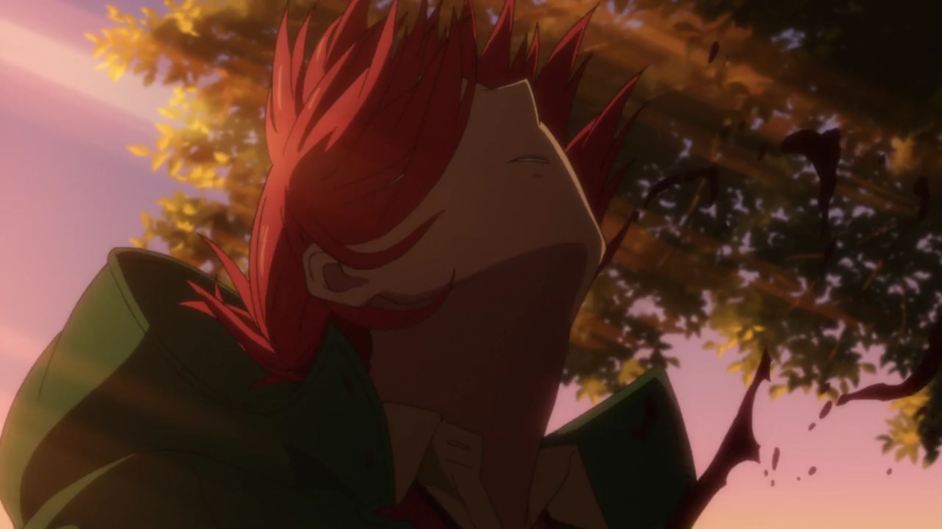 anime, the ancient magus' bride, chise hatori, red hair