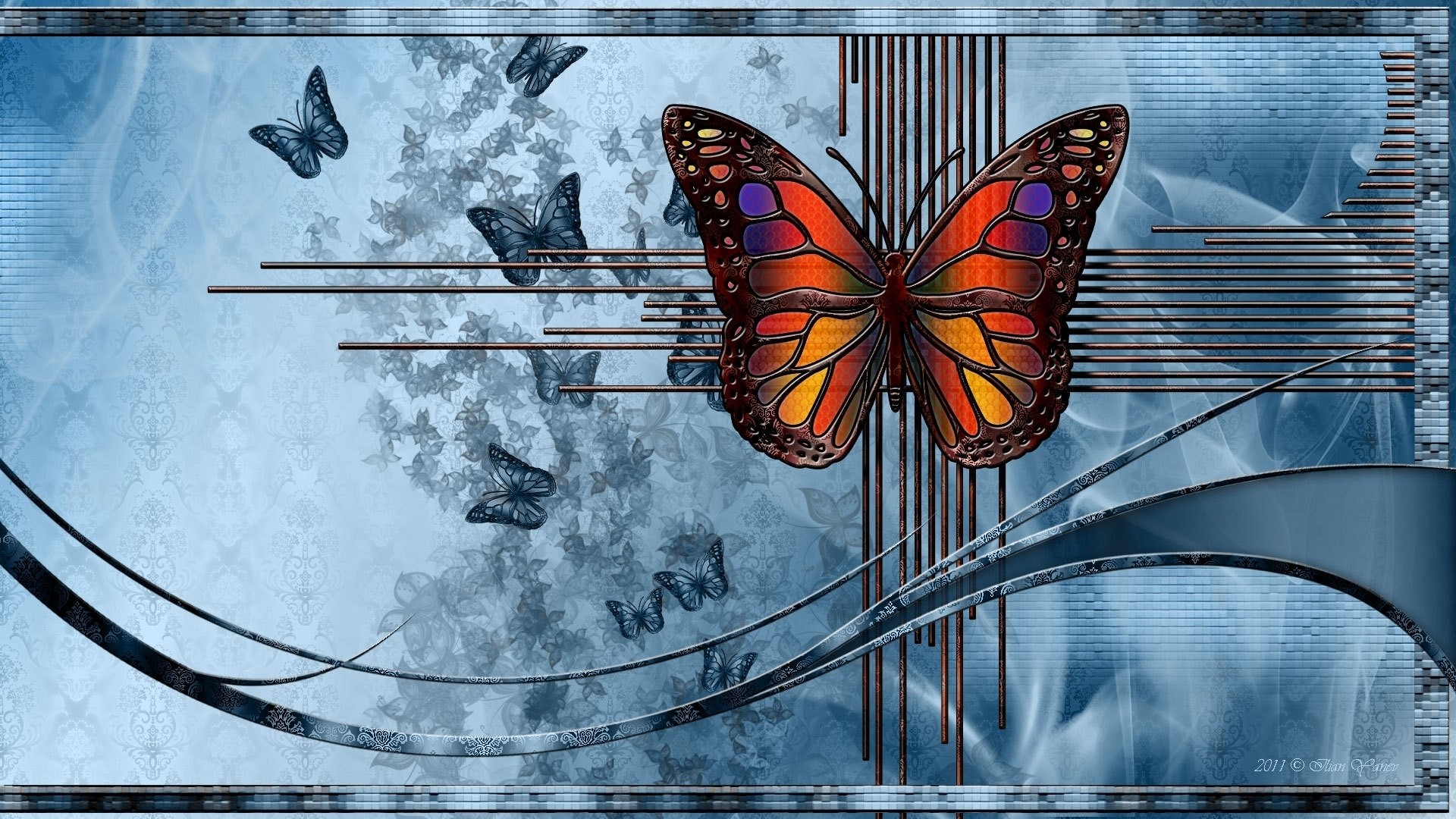 Free download wallpaper Butterfly, Animal on your PC desktop